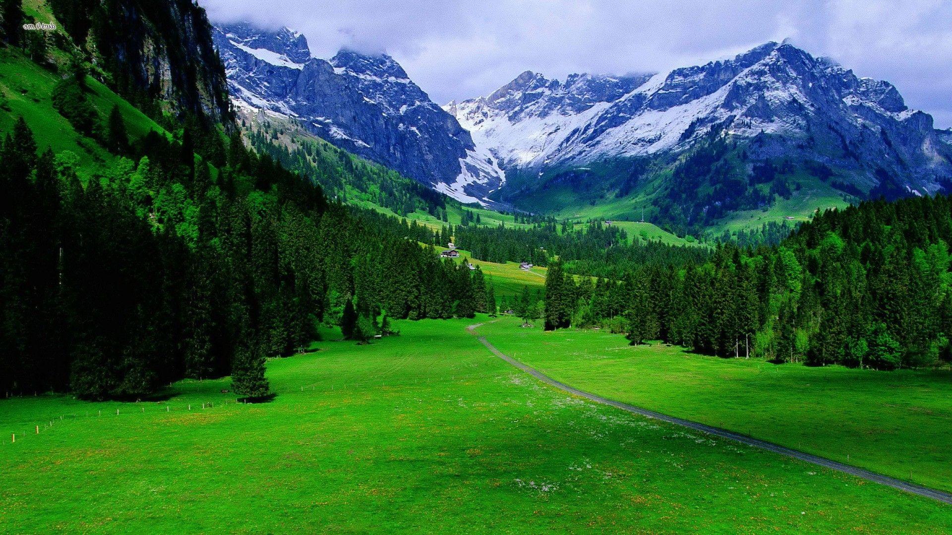 Nature Scenes Wallpapers Top Free Nature Scenes Backgrounds 
