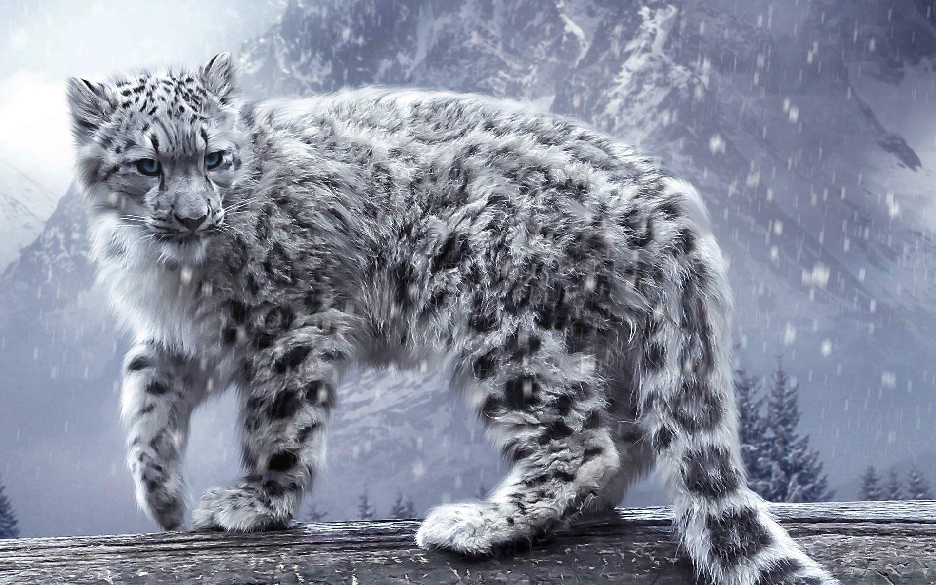 1920x1200 Animal Nature Wallpaper