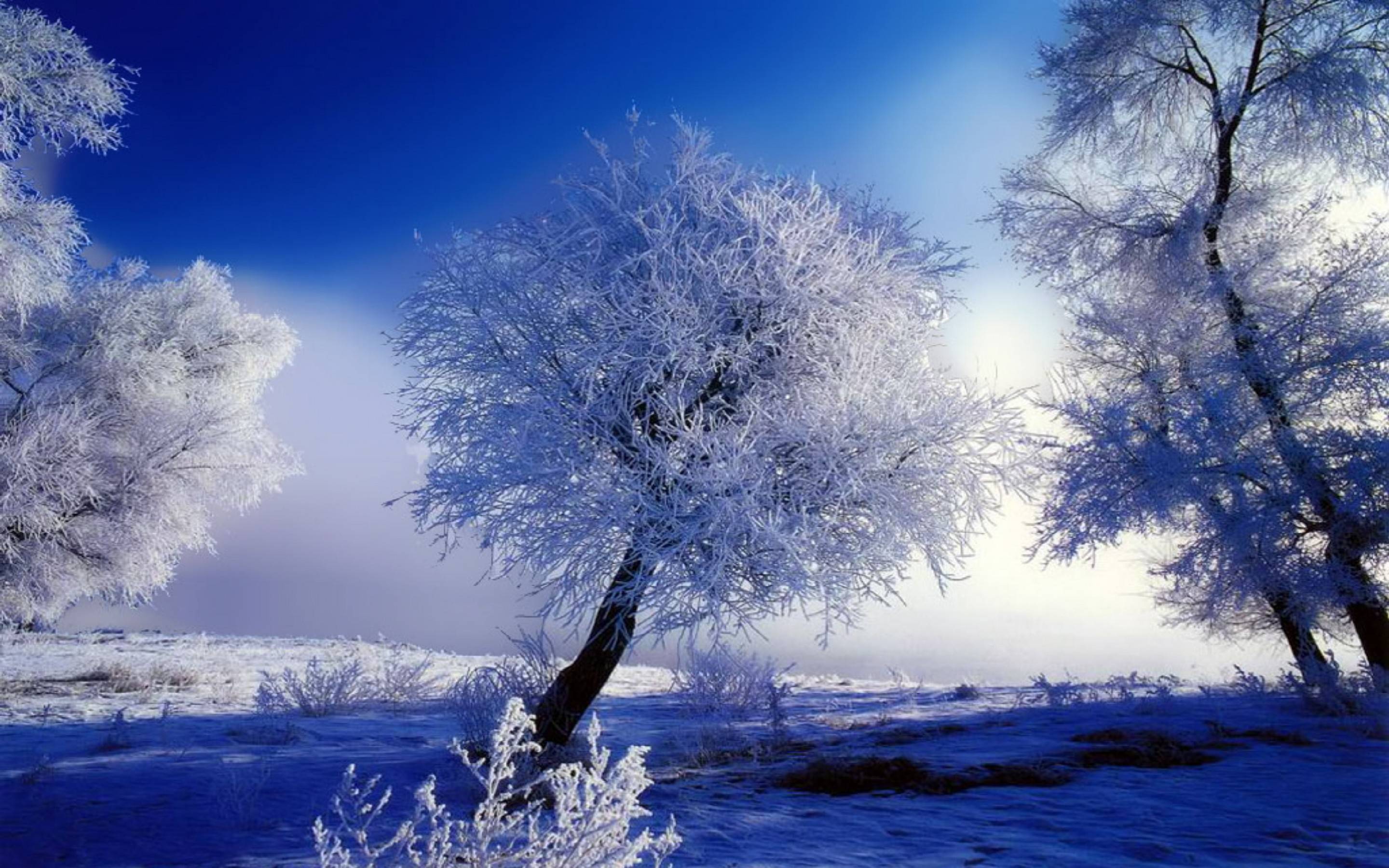 Snow Nature - Top Free Snow Nature Backgrounds -