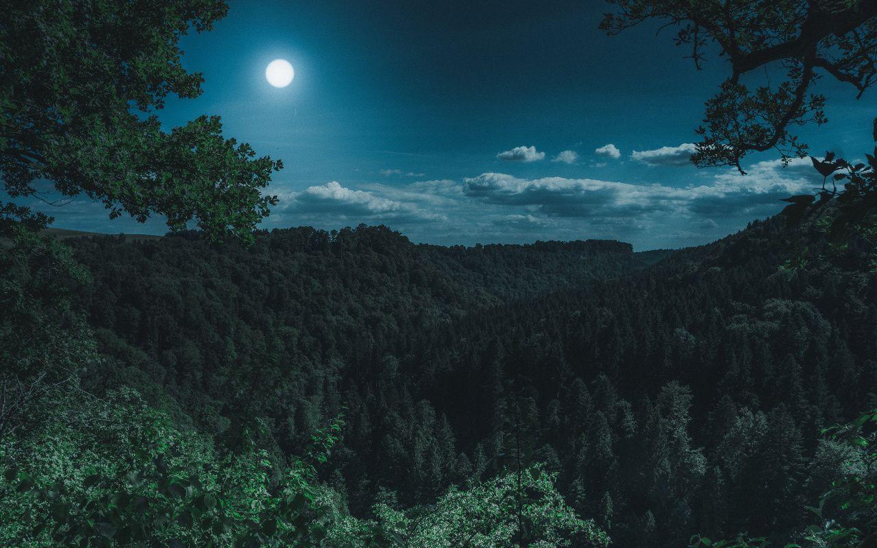 1280x800 Light, Moon, Night, Harvest Moon, Nature Wallpaper