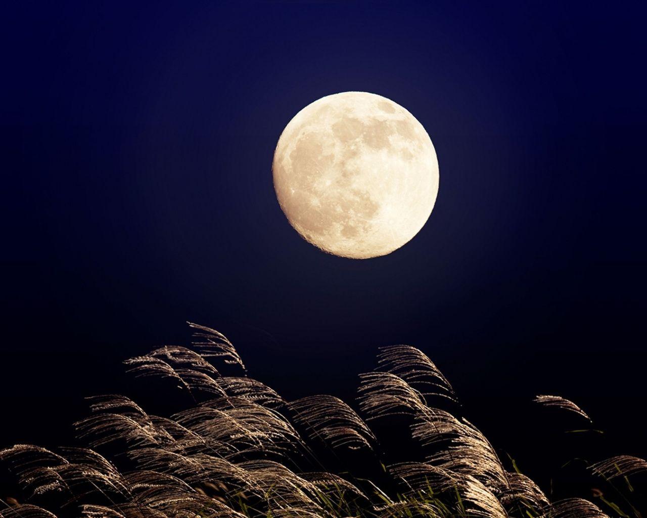 1280x1024 Download 1280x1024 Wallpaper Full Moon, Night, Sky, Nature