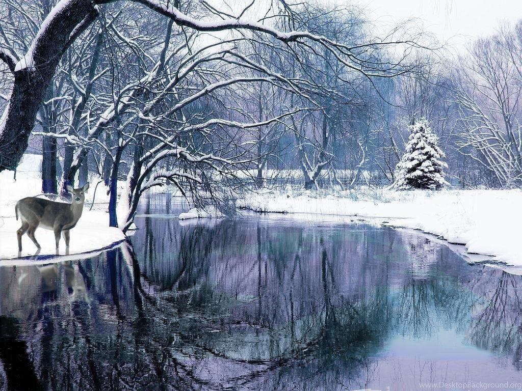 1024x768 Winter Scenes Wallpaper 12 Background Wallruru Desktop
