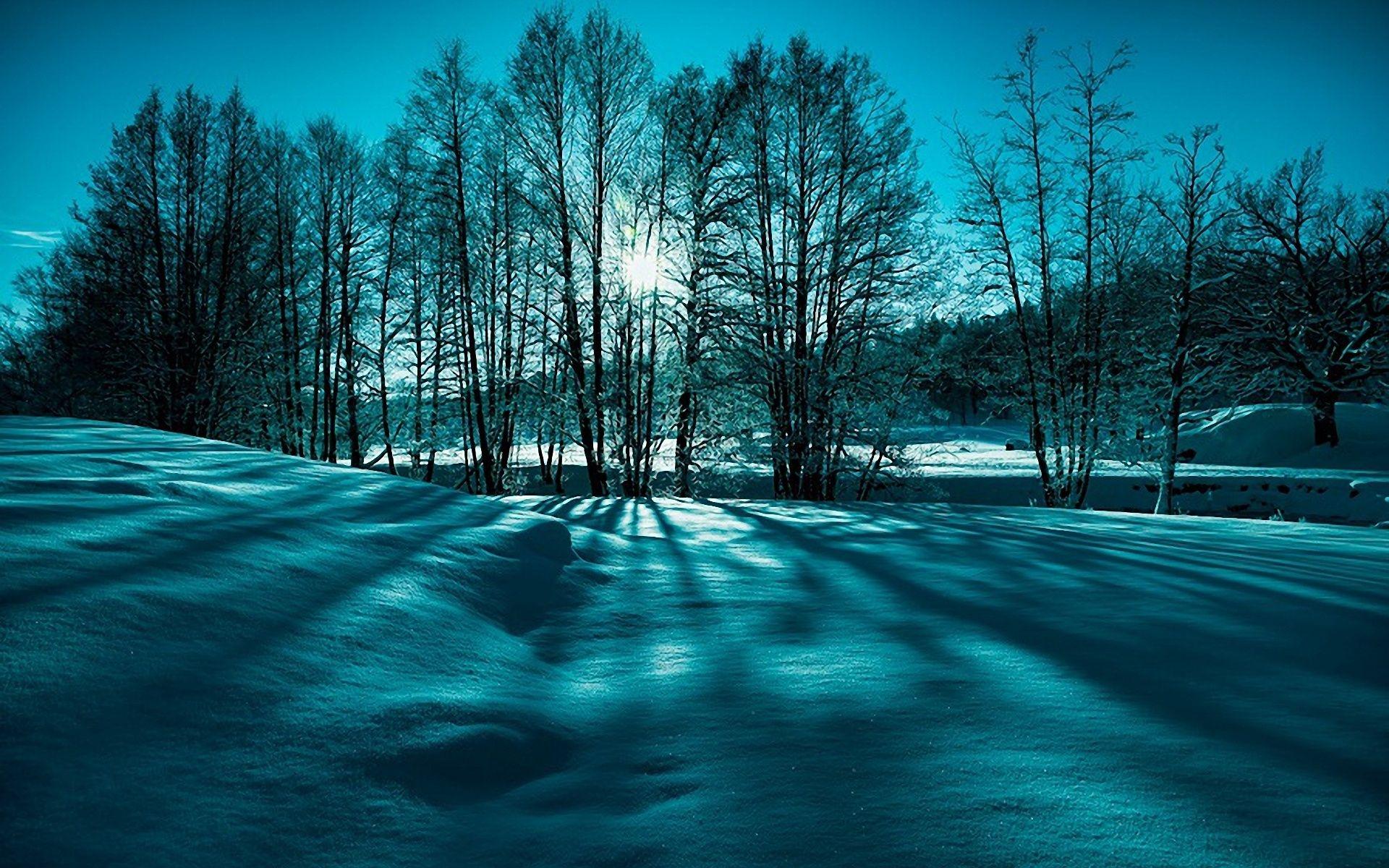 1920x1200 Winter Nature Wallpaper