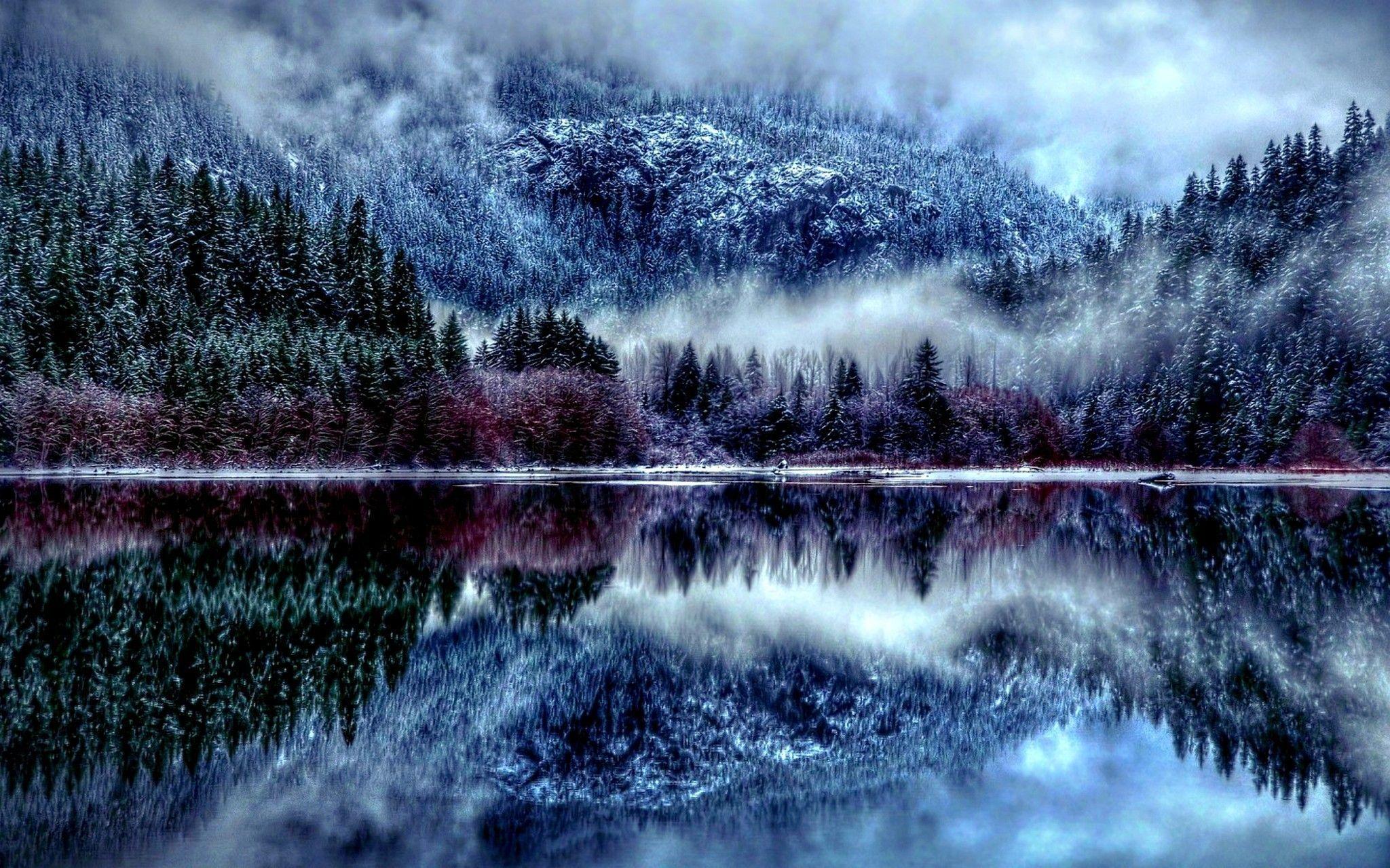 2048x1280 2048x1280 Forest Animals Christmas Wallpaper