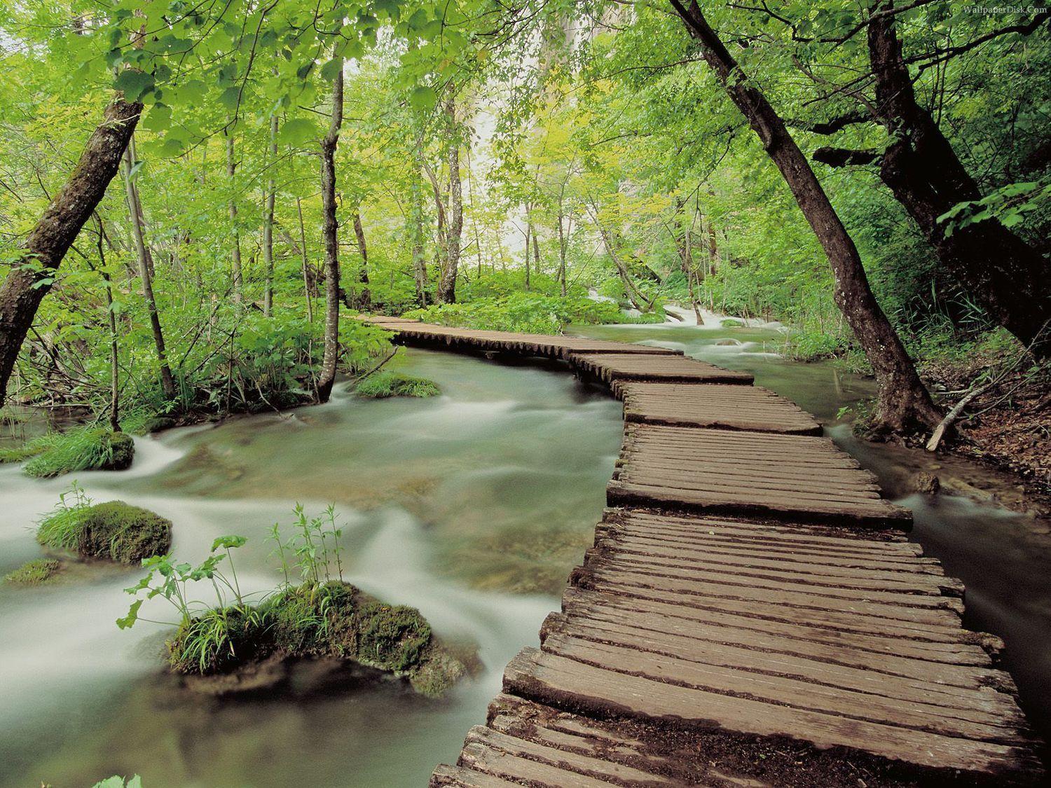 Nature Scenes Wallpapers Top Free Nature Scenes Backgrounds 