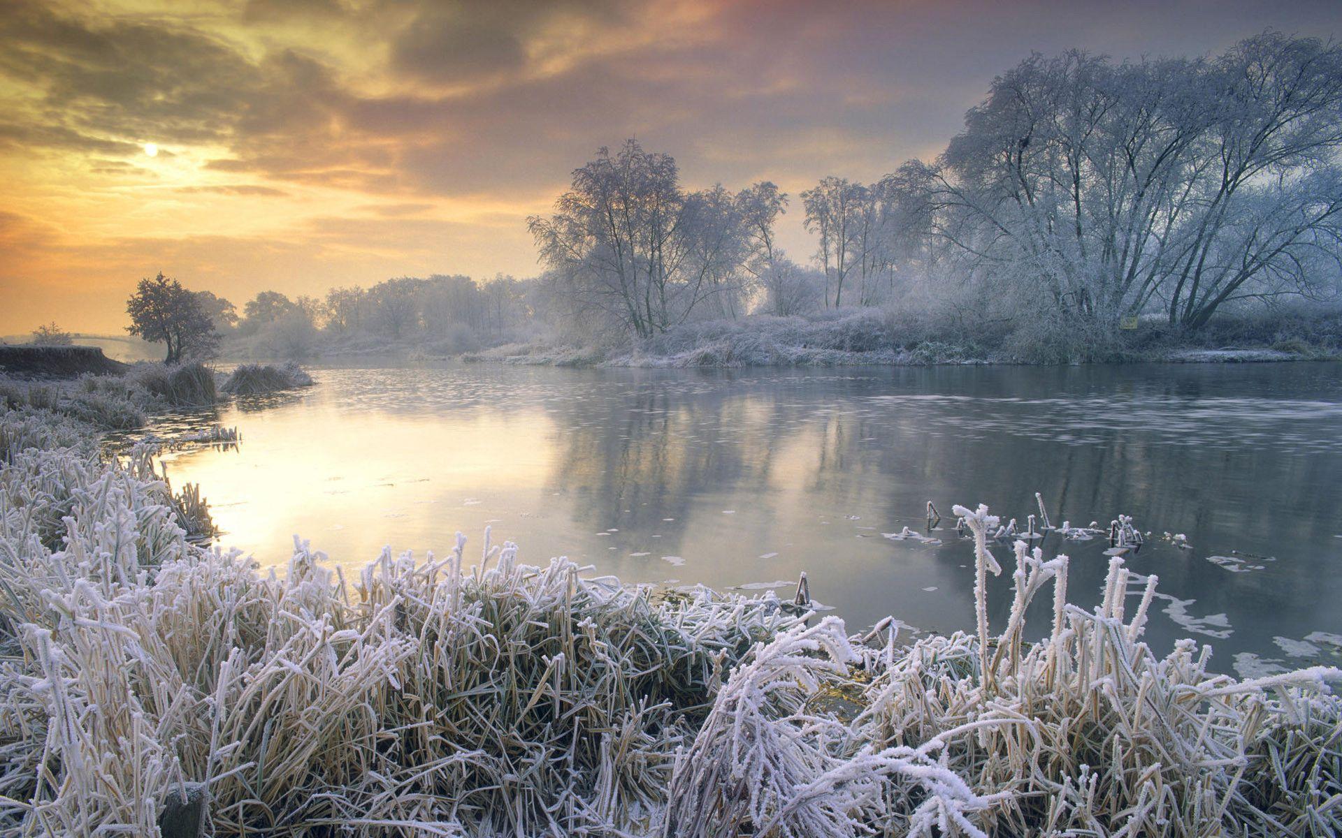 1920x1200 Nature Winter Wallpaper