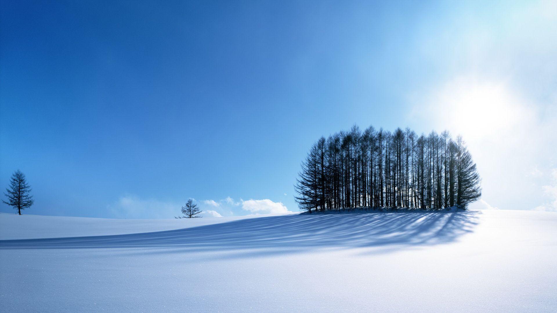 1920x1080 HD Winter Scenery Wallpaper, landscape, snow, amazing