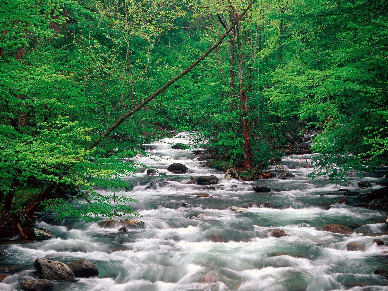Nature Scenes Wallpapers Top Free Nature Scenes Backgrounds 