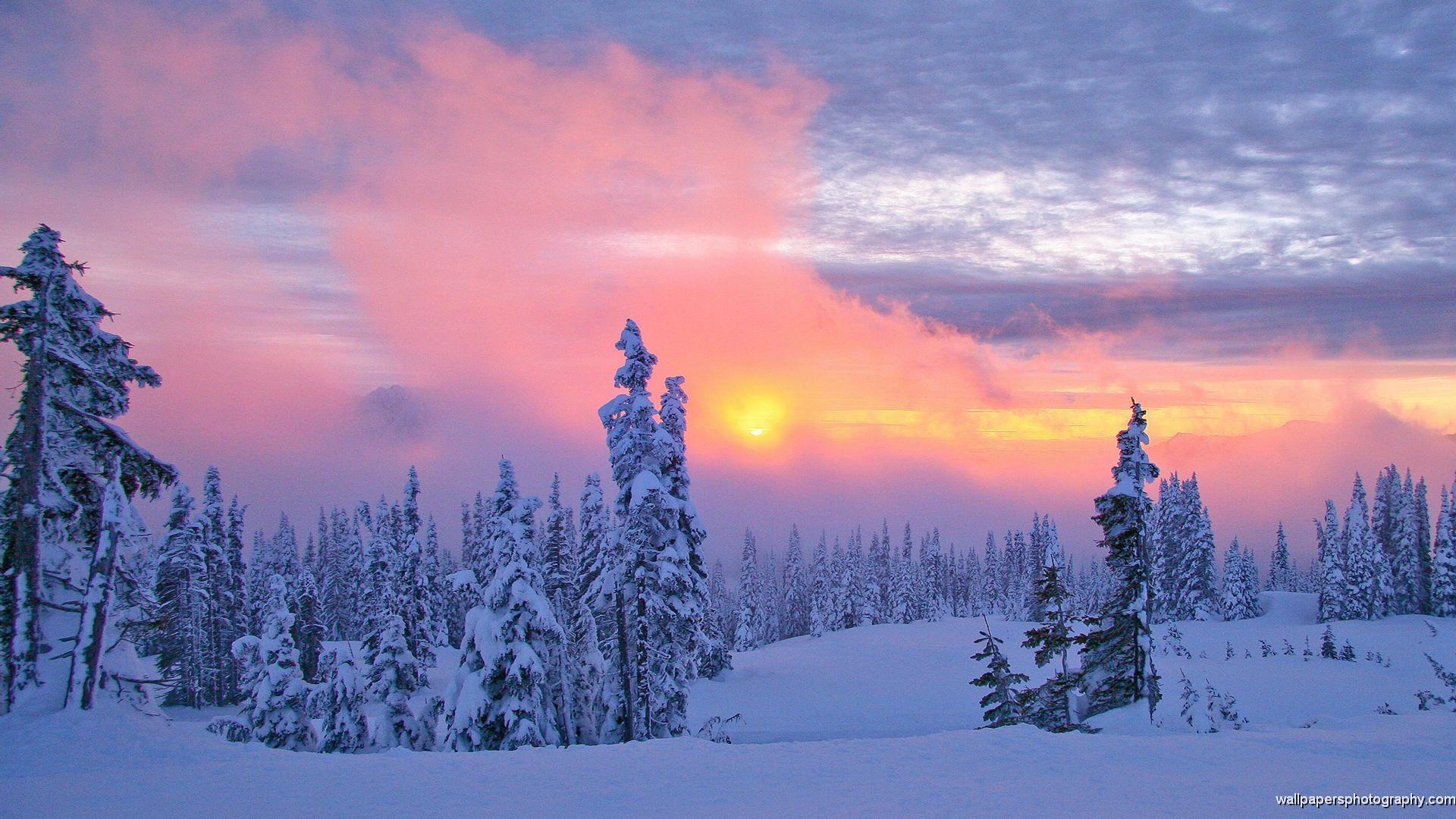 1920x1080 winter scenery. Winter Scenes Wallpaper, Prints, Posters