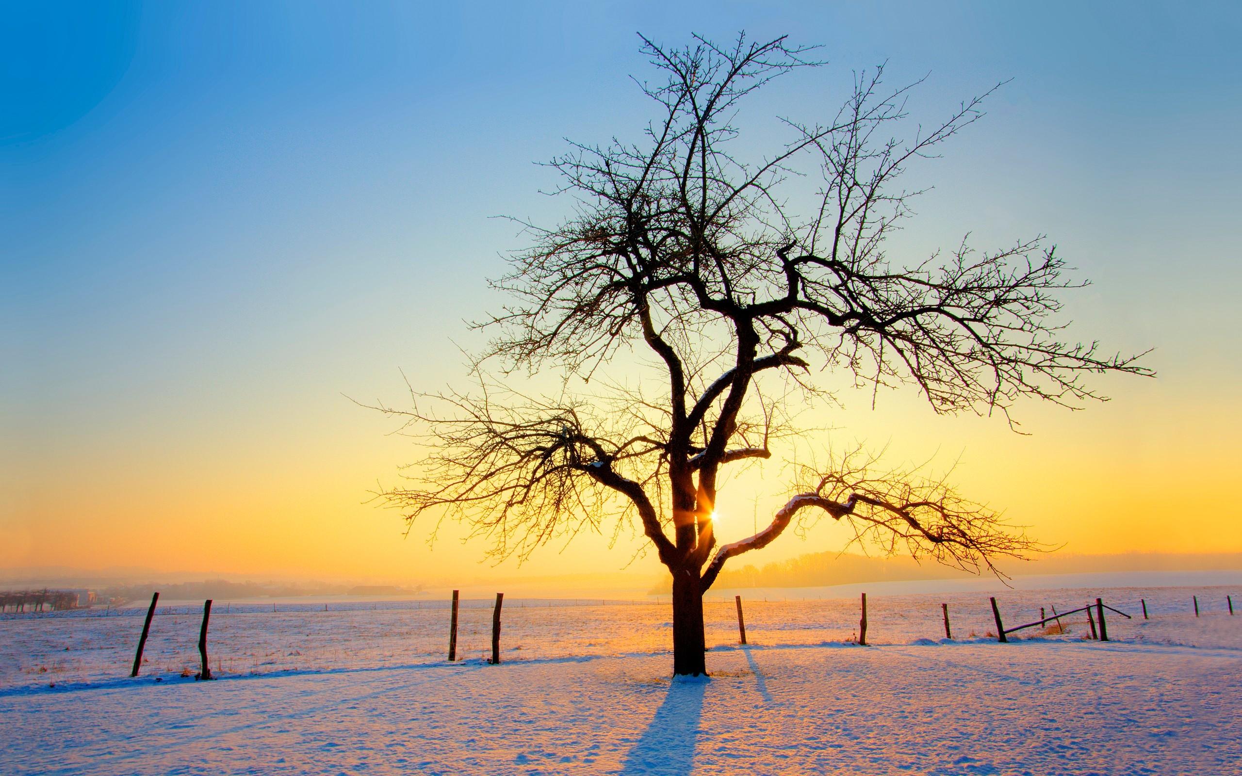 2560x1600 Nature Winter Wallpaper HD Wallpaper. Download HD