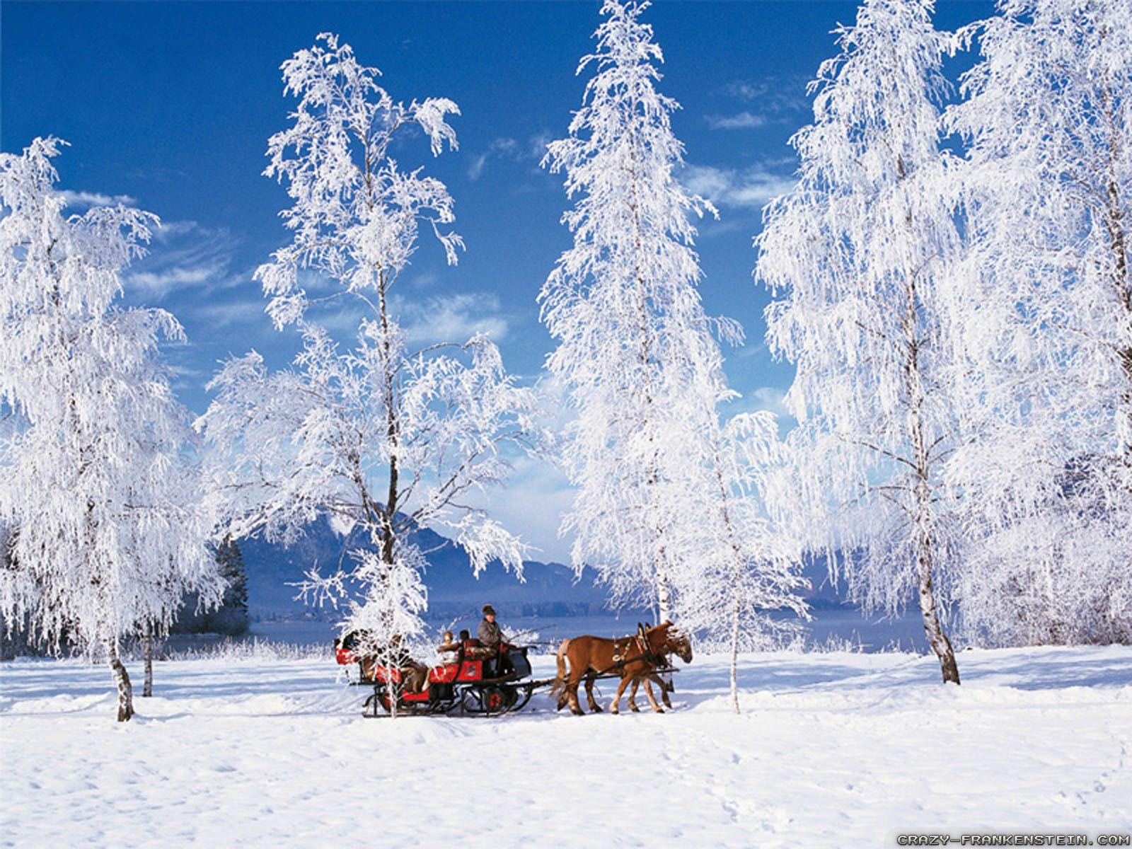 1600x1200 Winter scenery wallpaper