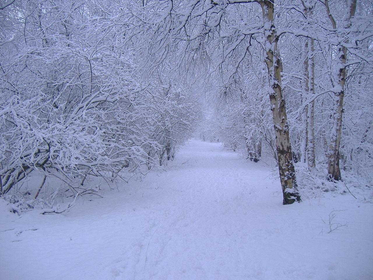1280x960 Winter scene Wallpaper. Image and nature wallpaper Winter