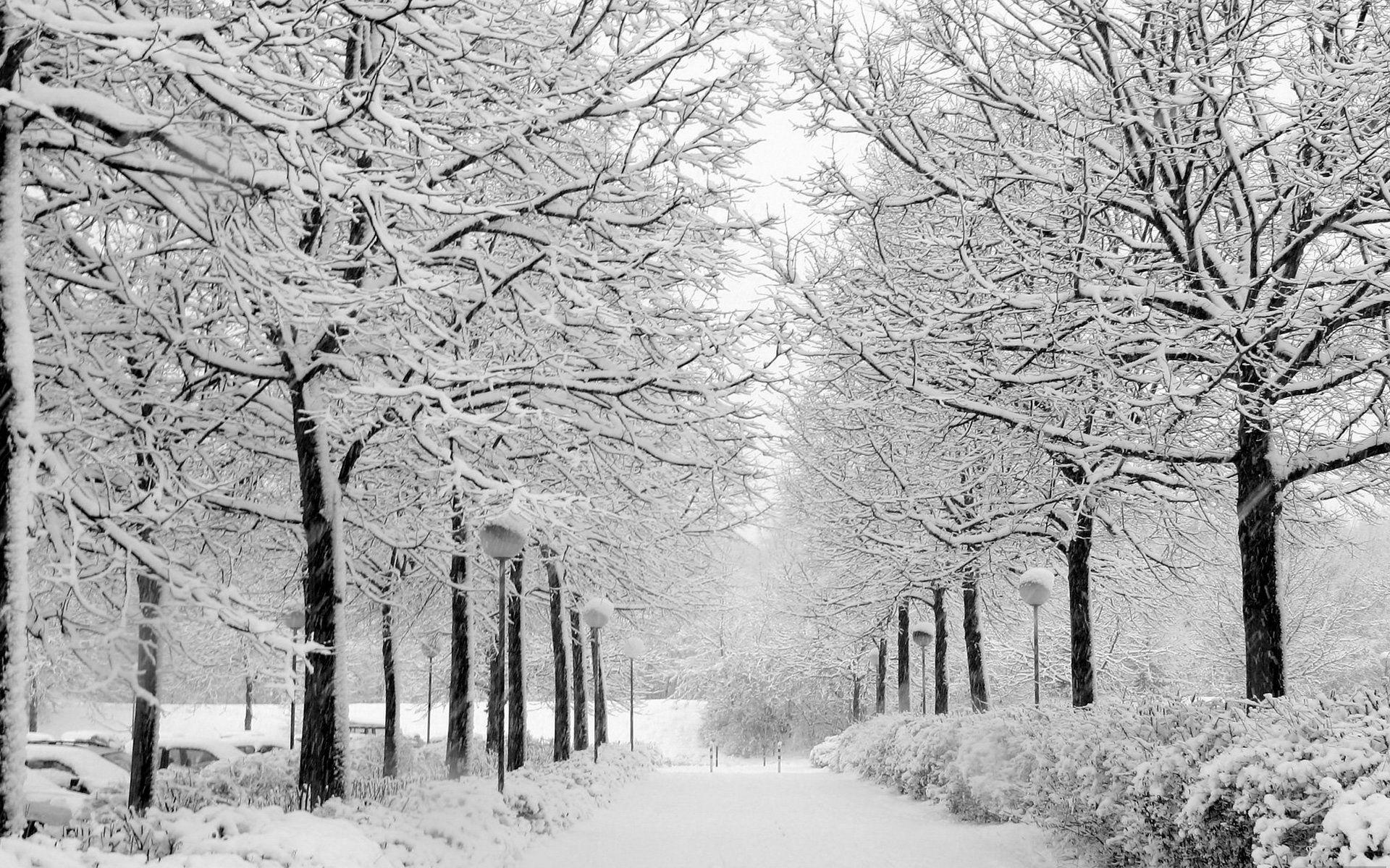 1920x1200 Nature winter wallpaper Gallery