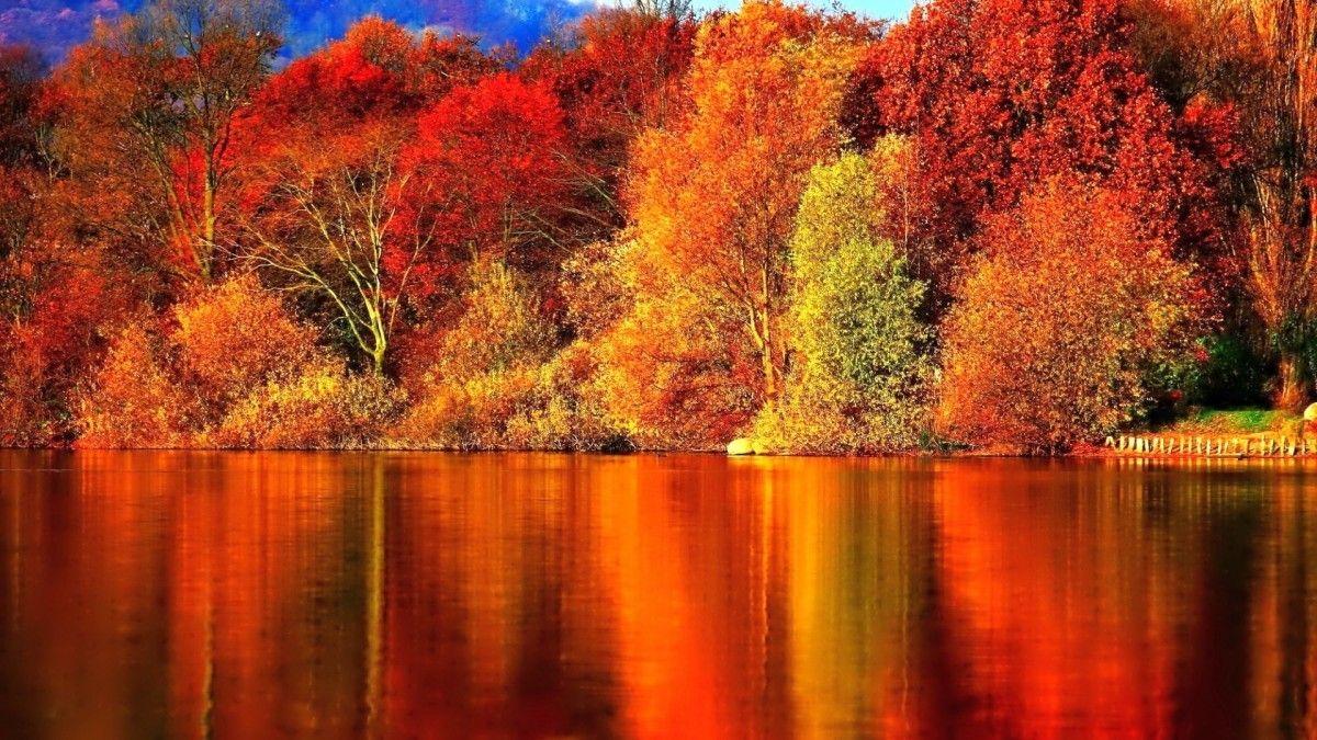 1200x675 Fall Scene Wallpaper (image in Collection)