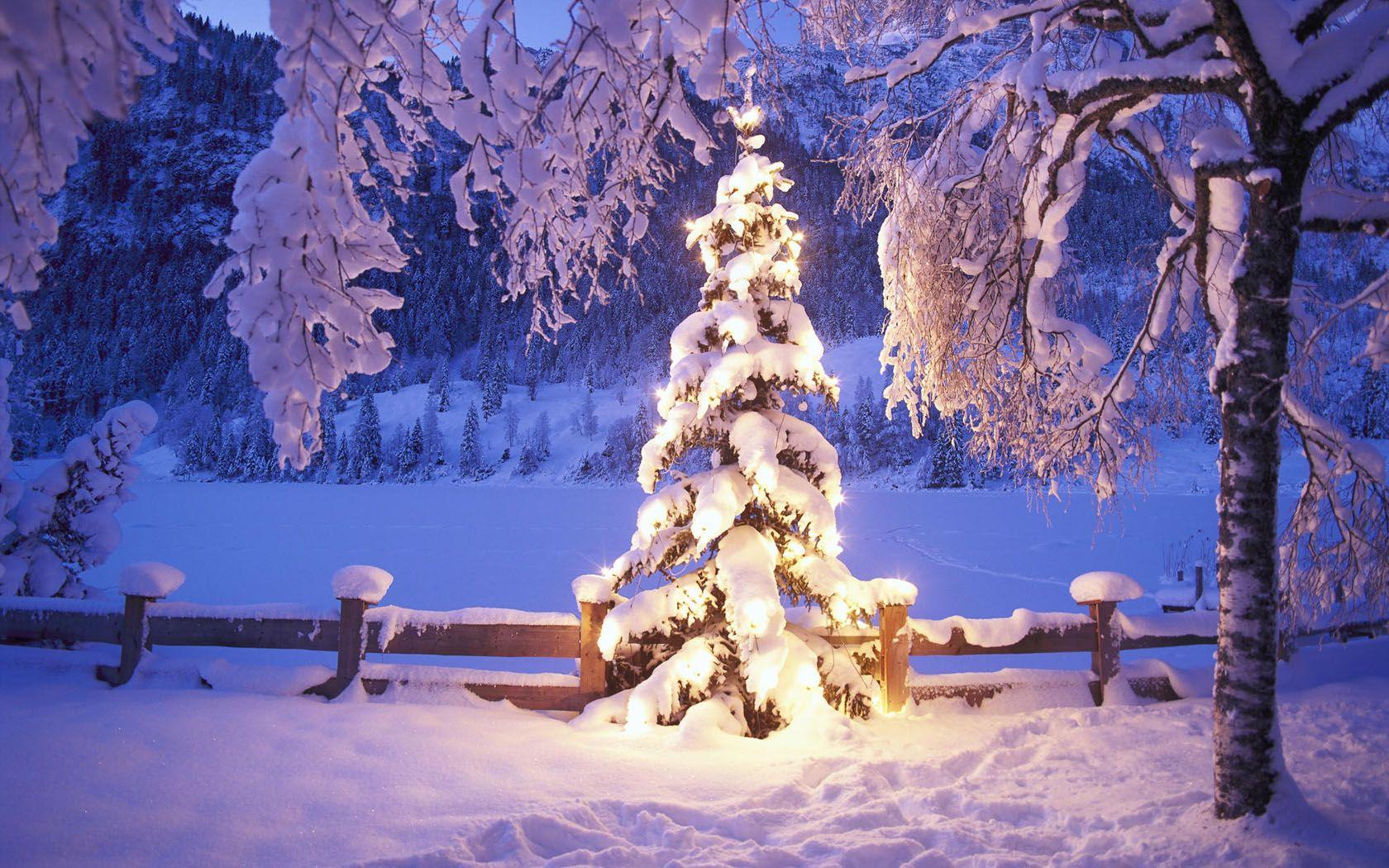1680x1050 Winter Scene Wallpaper - (35++ Image Collections)