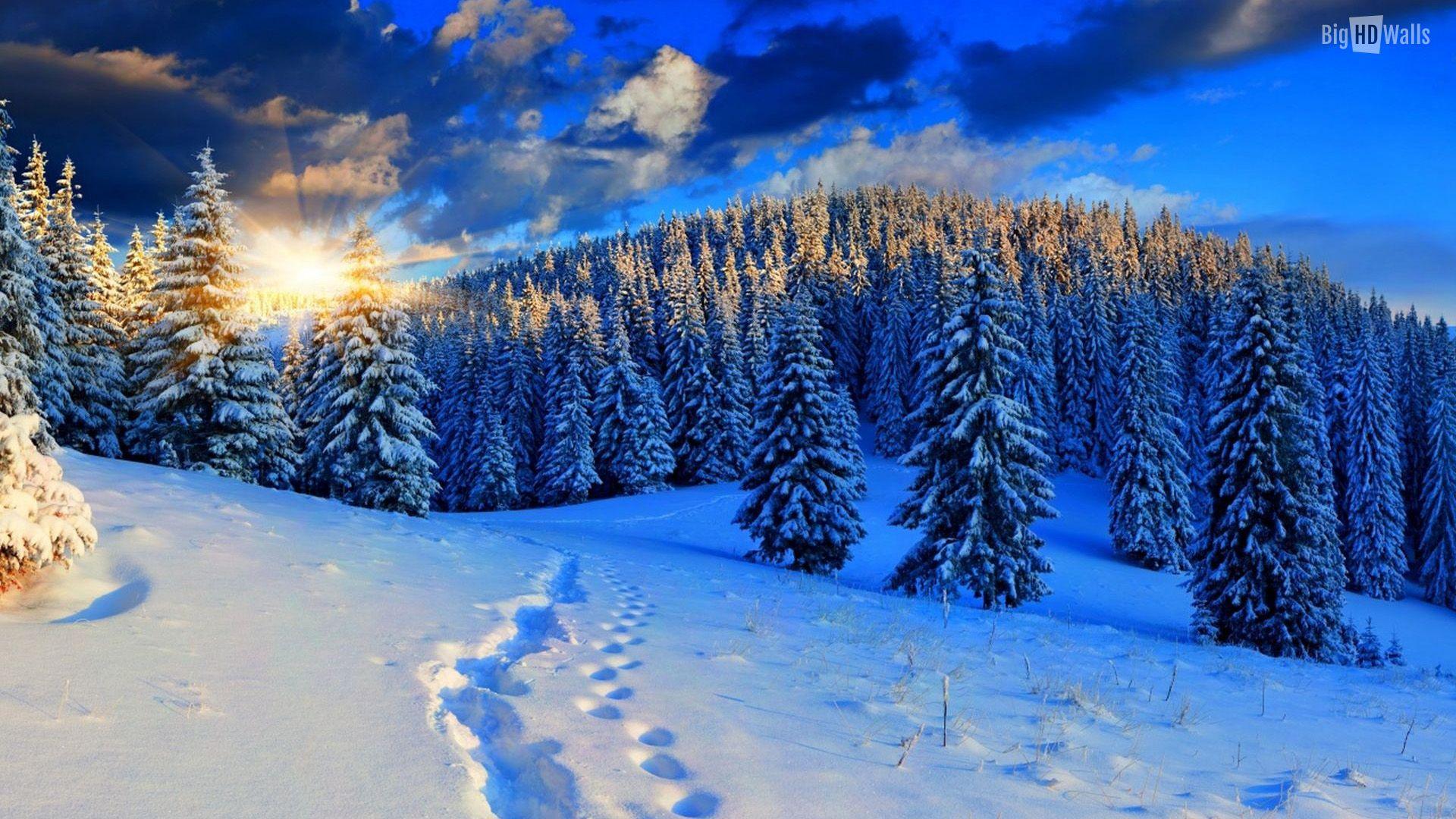1920x1080 Winter Sunrise HD Wallpaper
