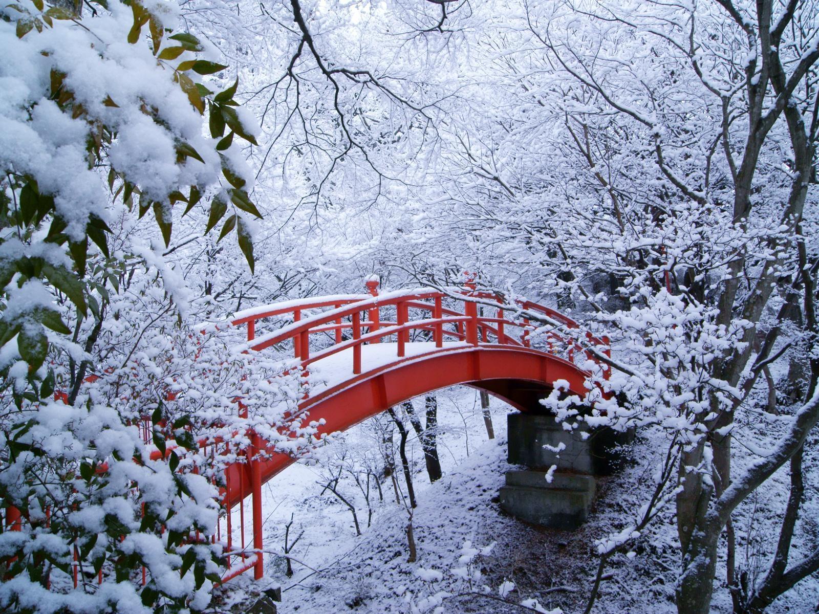 1600x1200 Photos Nature Winter Seasons