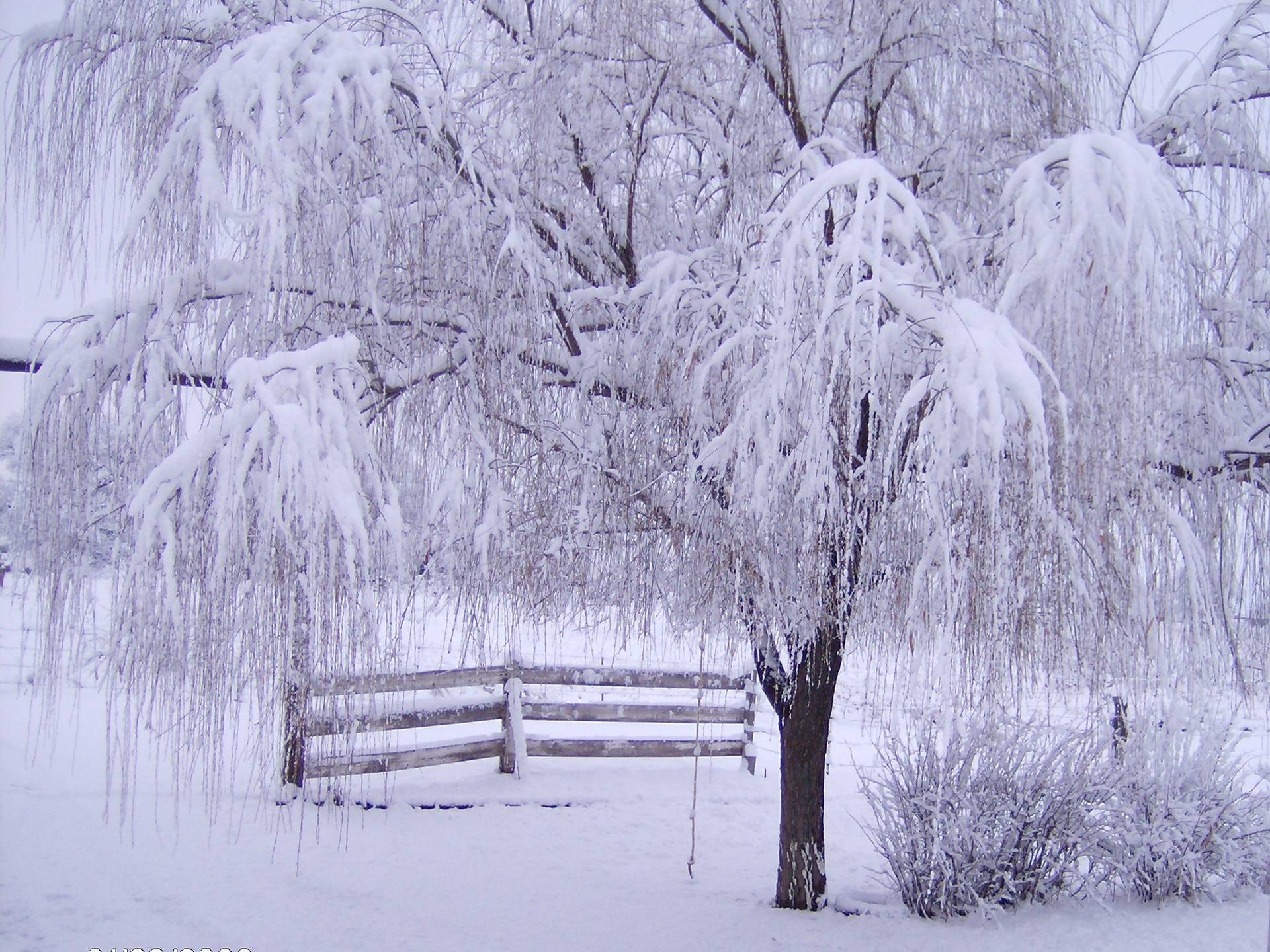 1920x1440 3D Winter Scenes Wallpaper