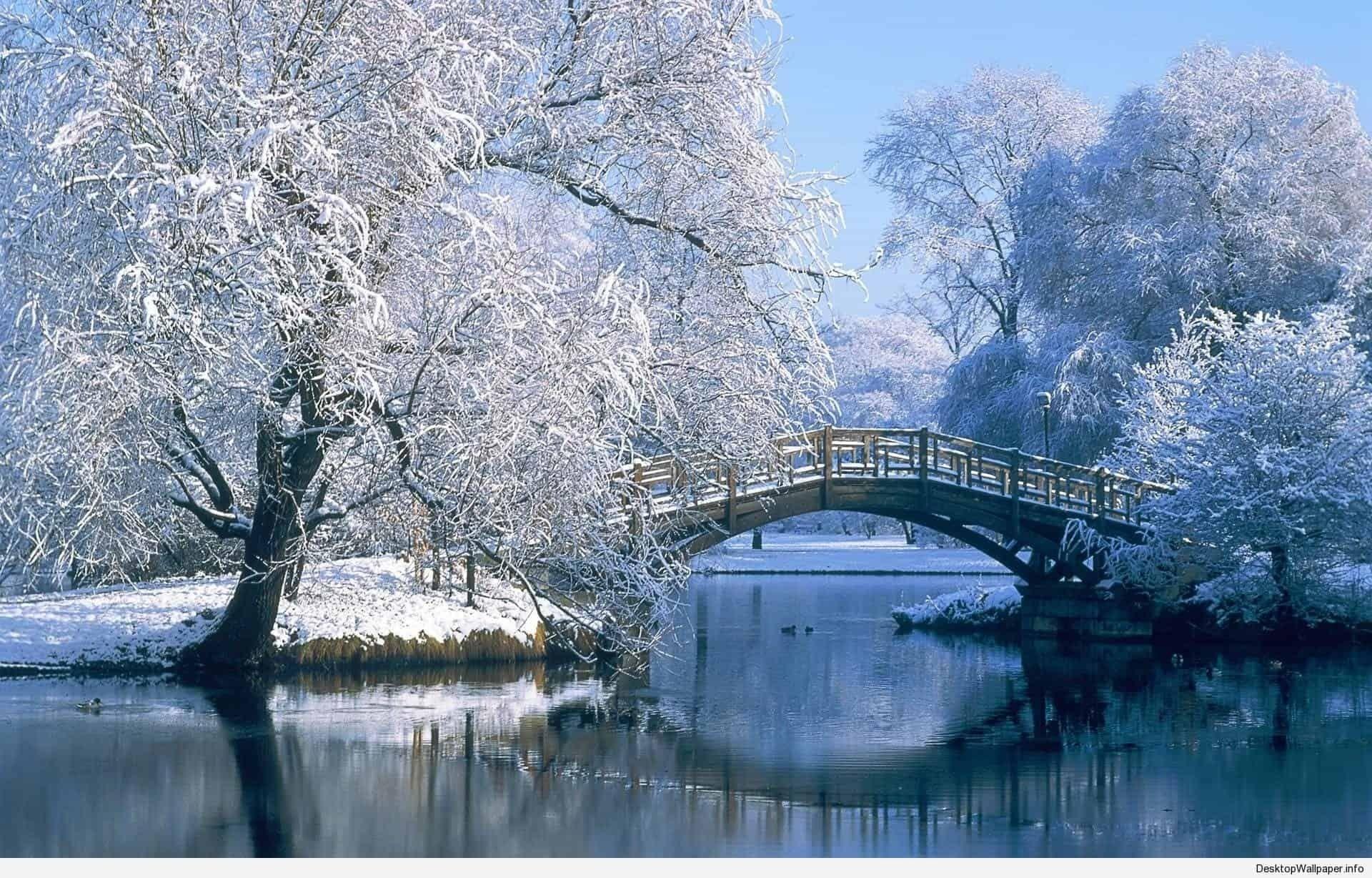1920x1228 New Winter Scenes Wallpaper Free FULL HD 1080p For PC