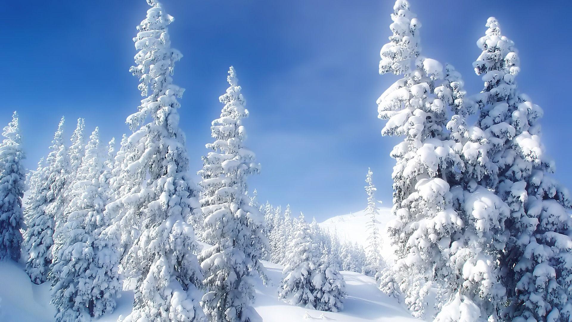 1920x1080 Winter Wonderland Wallpaper Winter Nature Wallpaper in jpg