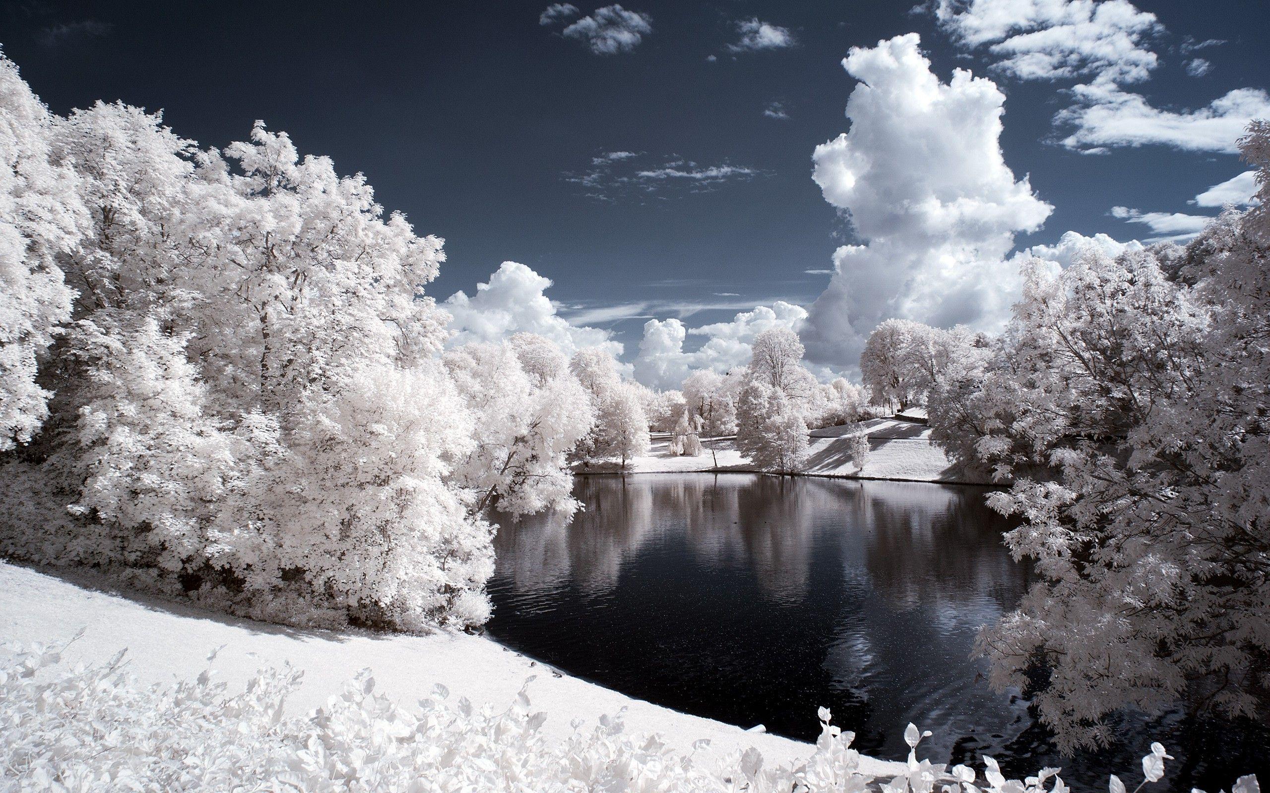 2560x1600 nature winter snow trees water pond wallpaper