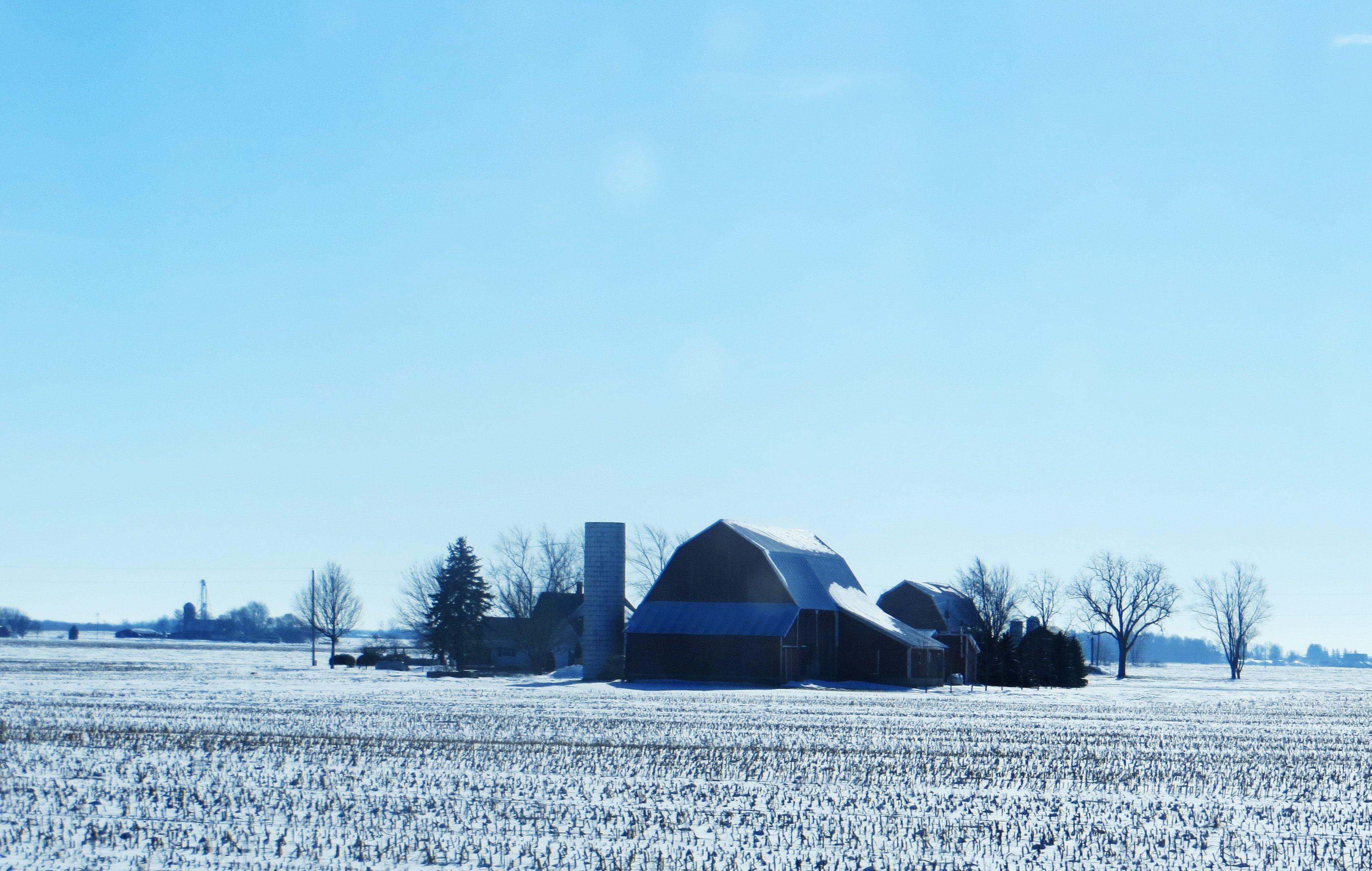 3495x2220 hd winter wallpaper wallpaper Gallery
