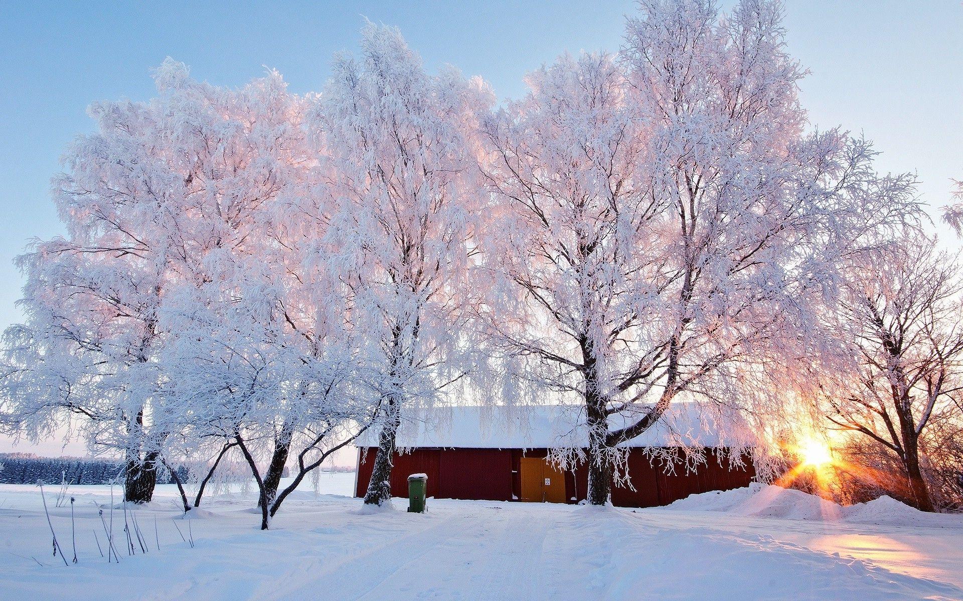 1920x1200 Winter trees house sunrise snow wallpaper Collection