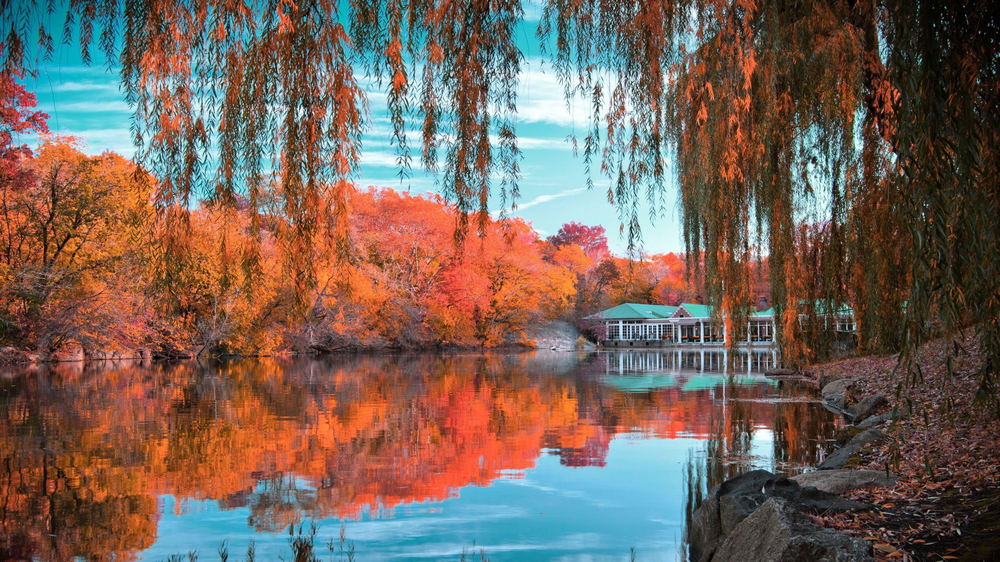 3840x2160 Central Park in Autumn 4k Ultra HD Wallpaper. Background