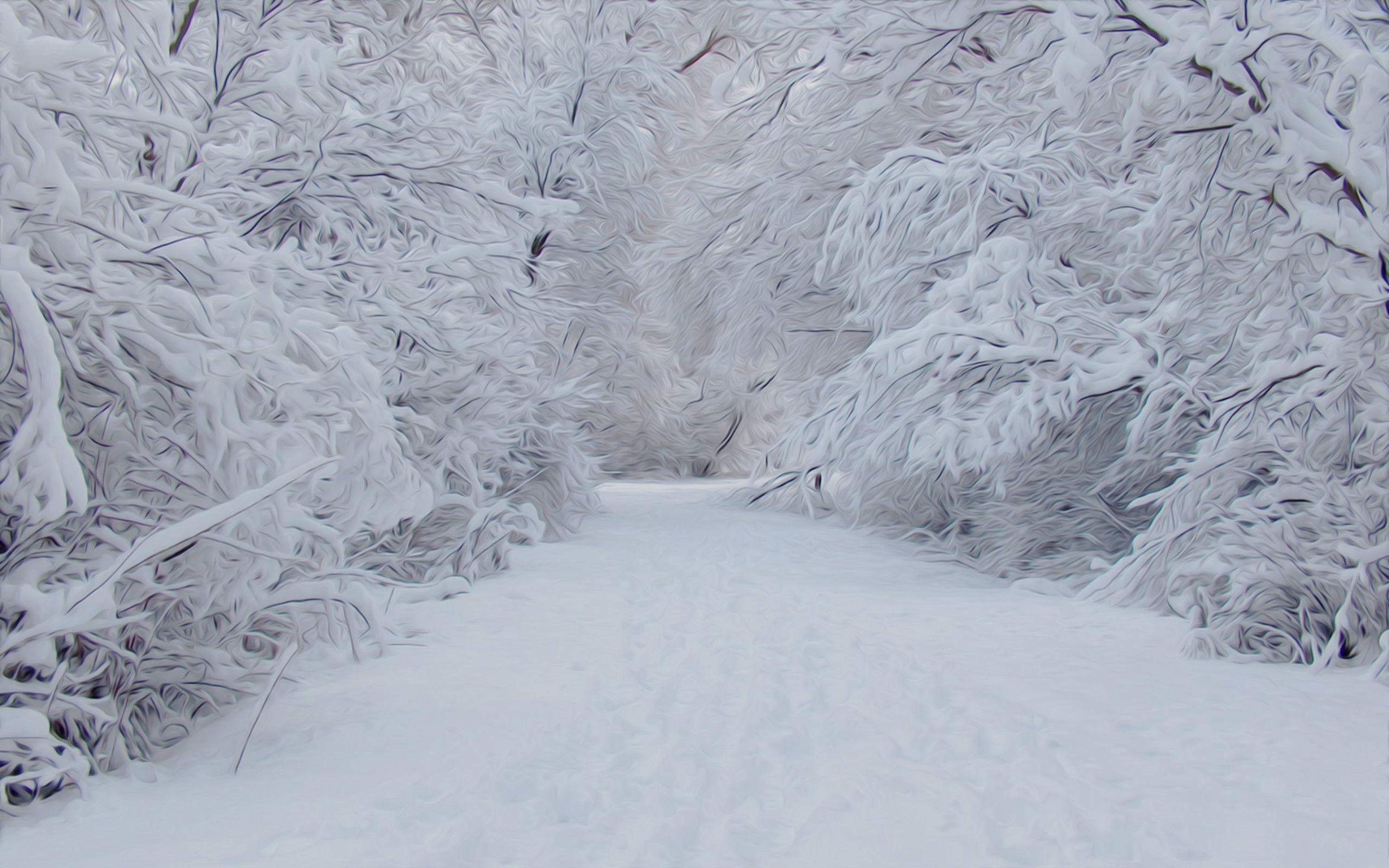 2560x1600 Christmas Winter Scenes Wallpaper