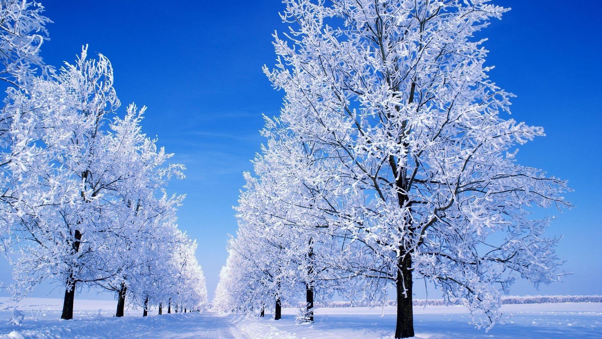 1920x1080 Winter Snow Scenes Wallpaper background picture
