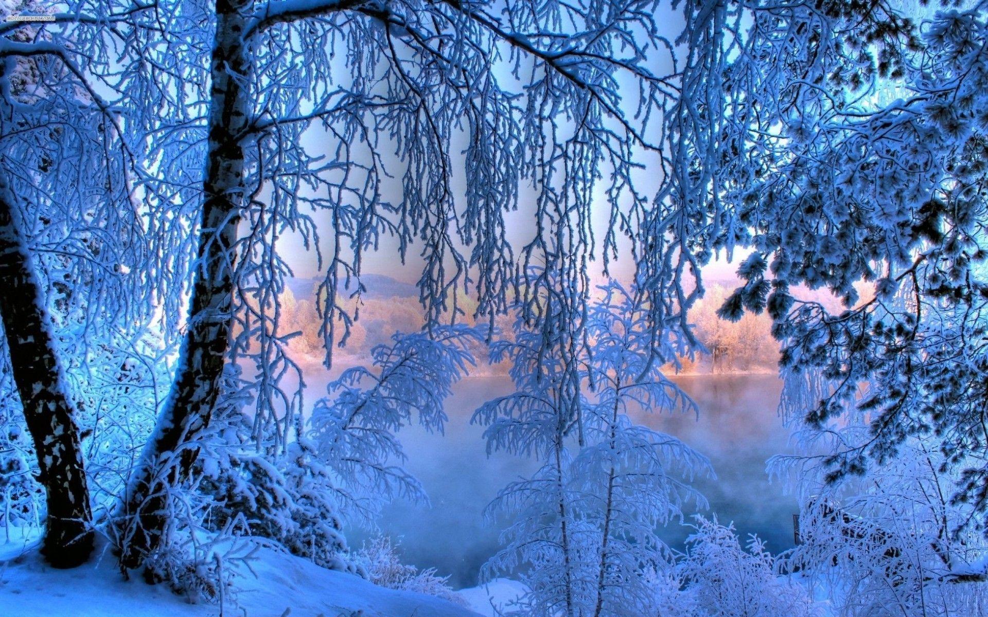 1920x1200 HD Sunrise at winter Wallpaper .