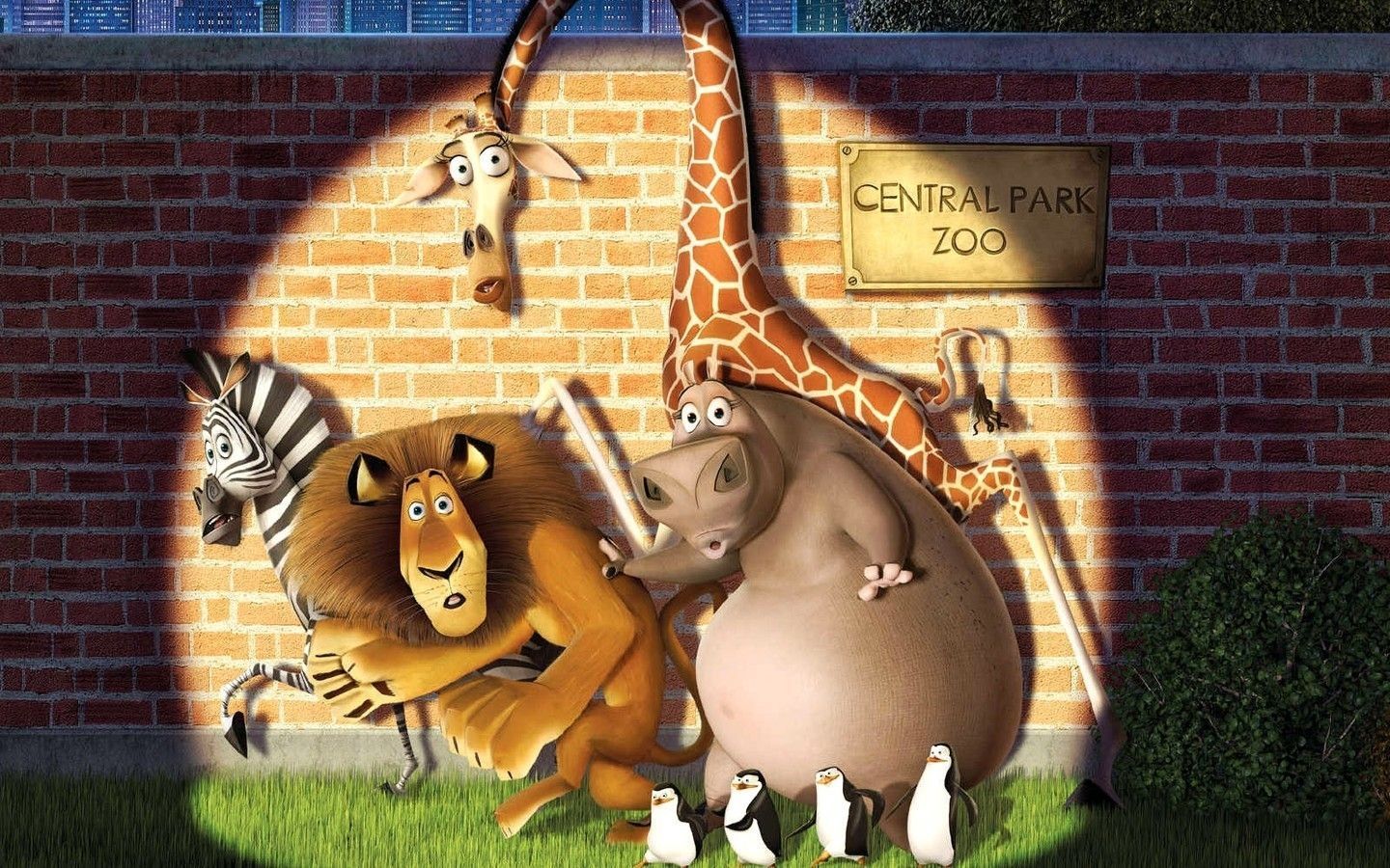 Zoo Cartoon Wallpapers - Top Free Zoo Cartoon Backgrounds - WallpaperAccess