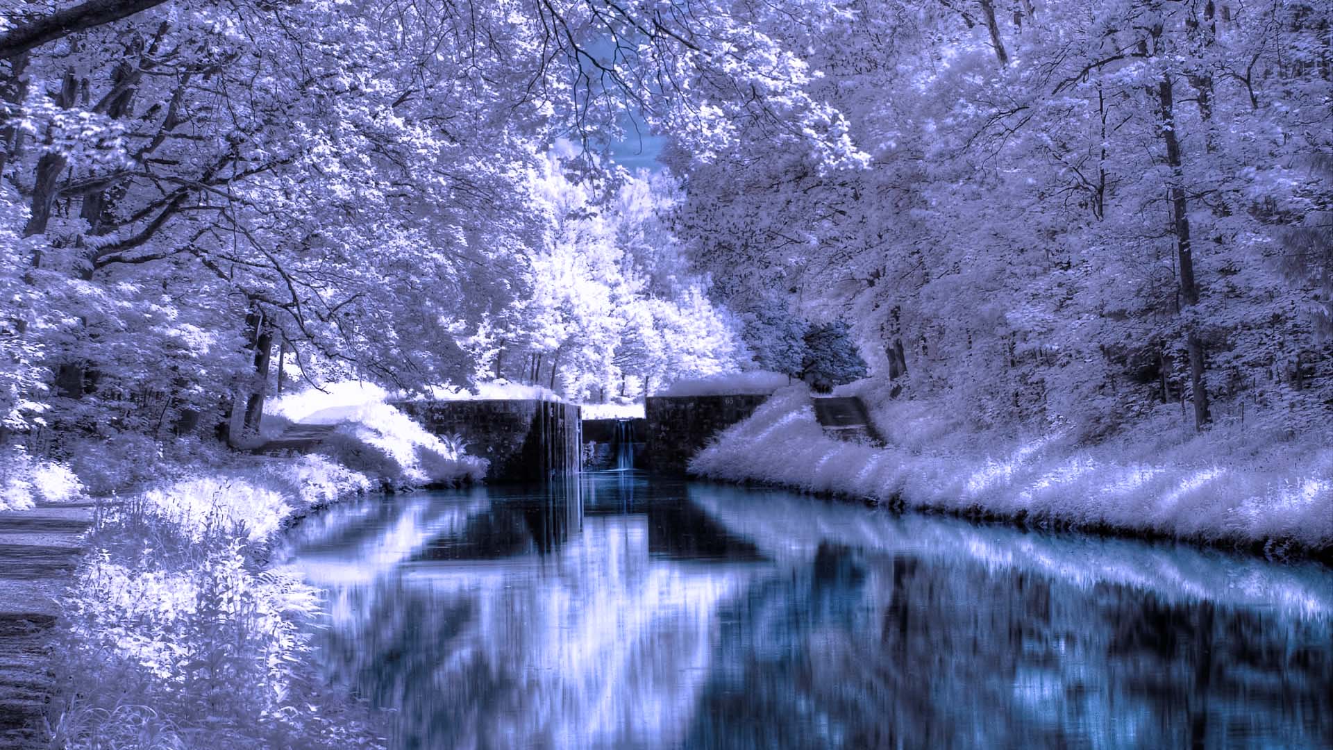 1920x1080 Winter Scene 1920 1080 HD Wallpaper 1920x1080. Free Photo