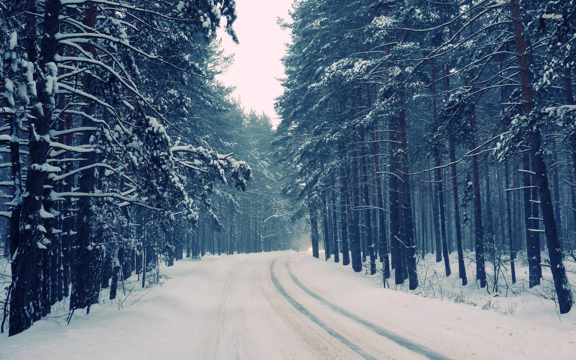 1920x1200 Snowy Nature Wallpaper