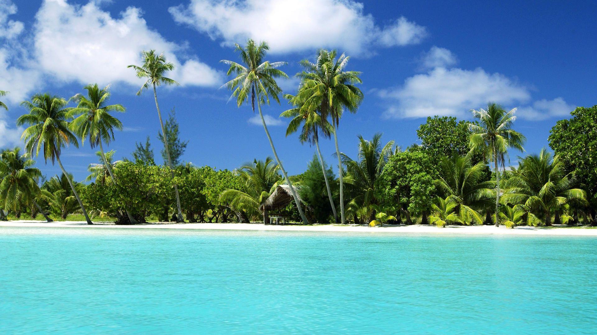 1920x1080 Tropical Background (12)