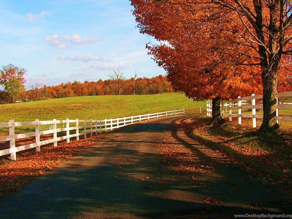 1024x768 Free Desktop Wallpaper Fall Scenes Desktop Background