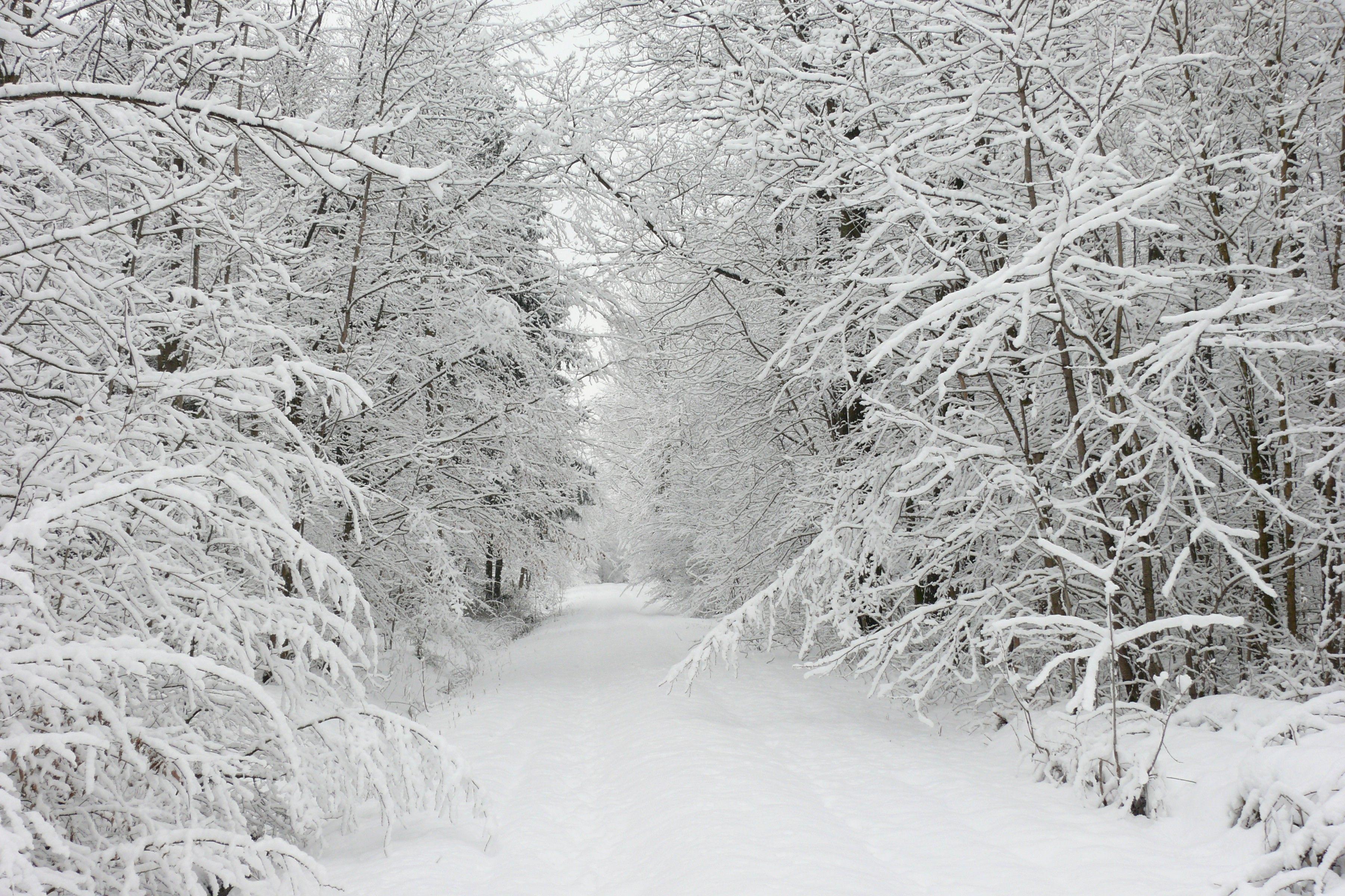 3600x2400 Beautiful Winter Snow HD Background