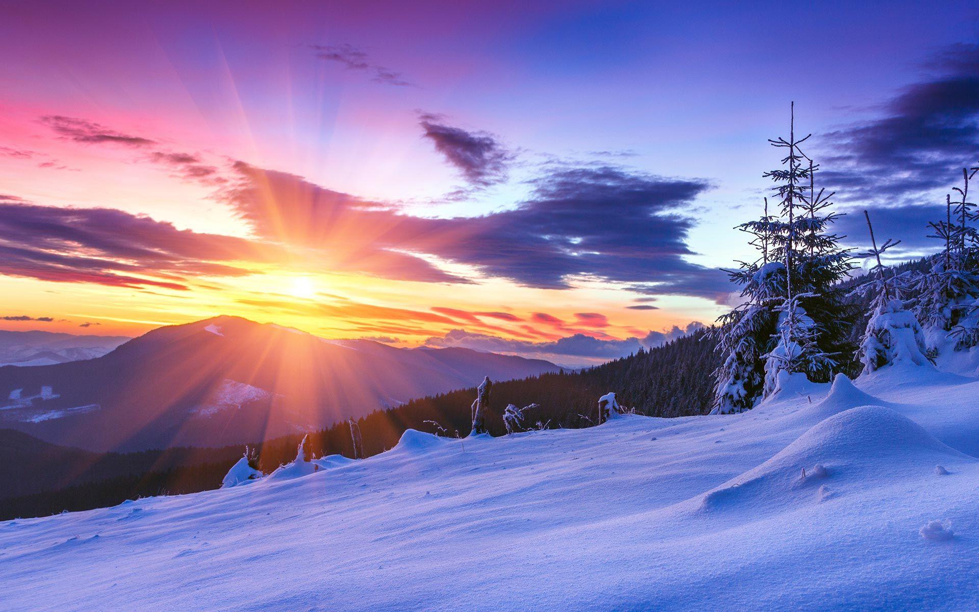 1920x1200 Snow HD Wallpaper