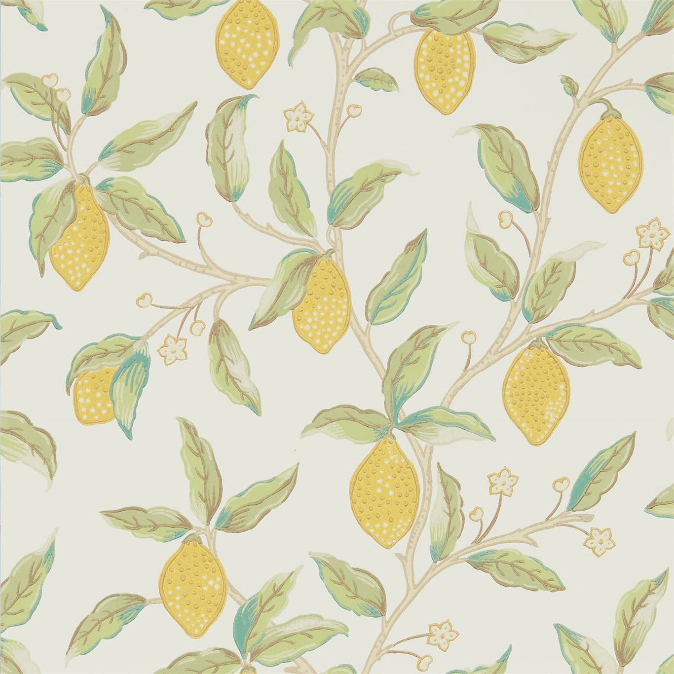 1366x1366 Morris and Co Lemon Tree Bay Leaf Wallpaper 216672