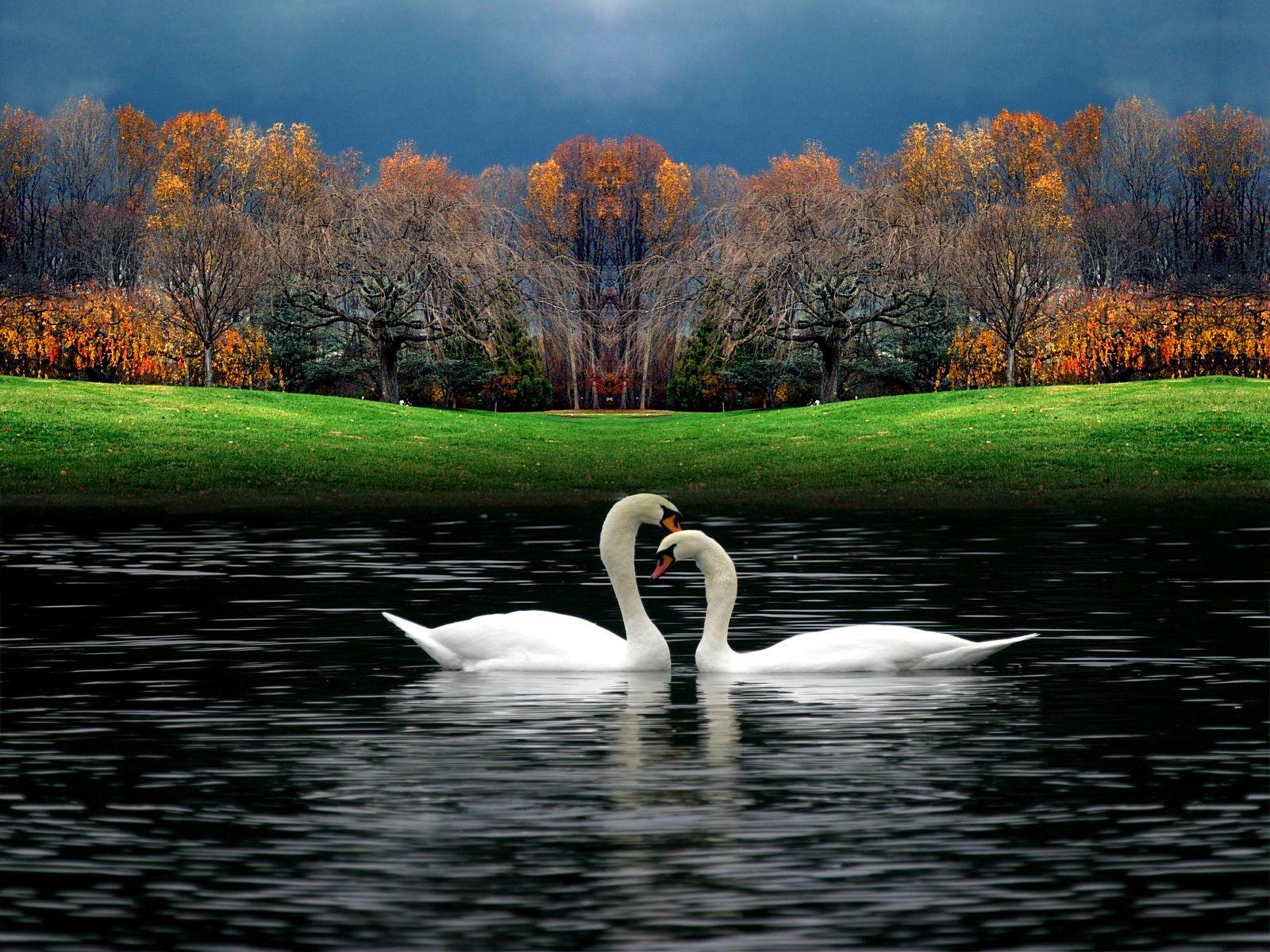 1600x1200 Wallpaper of beautiful nature Gallery