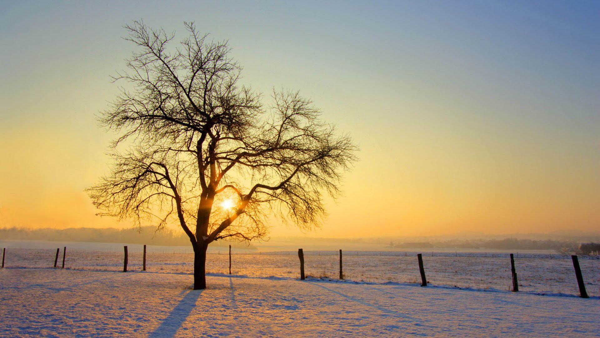 Winter Sunrise Wallpapers - Top Free Winter Sunrise Backgrounds ...