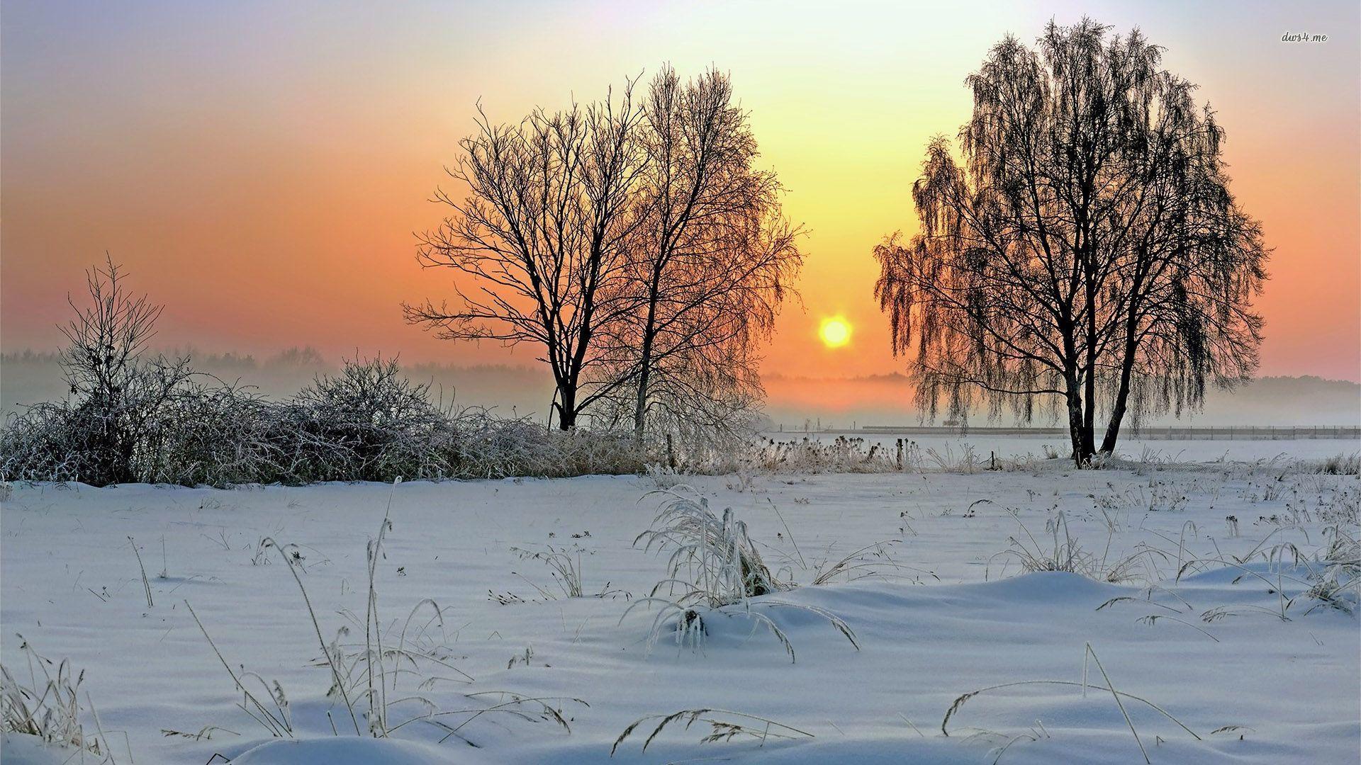 1920x1080 Winter sunrise wallpaper wallpaper