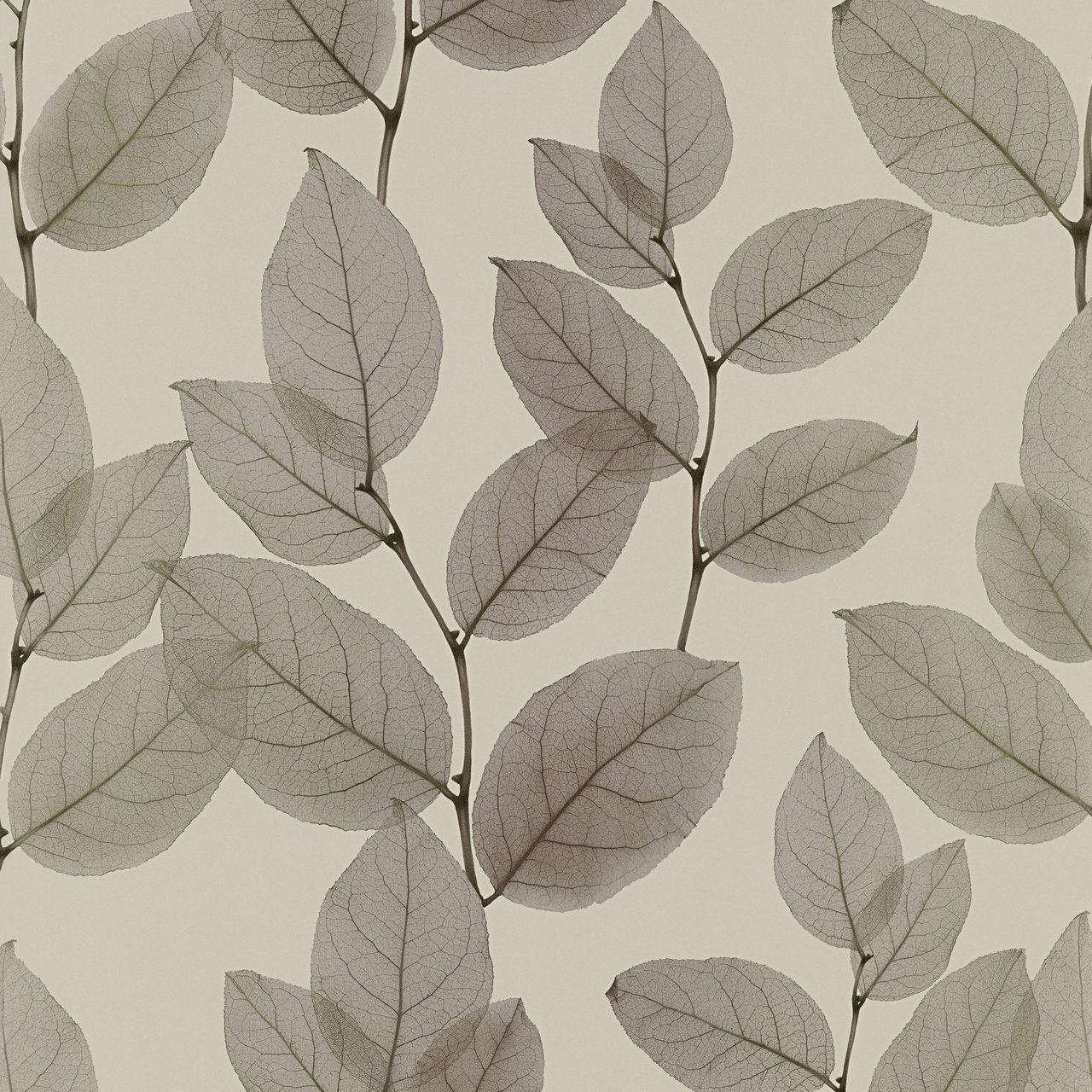 1280x1280 Ray Taupe Leaf Wallpaper