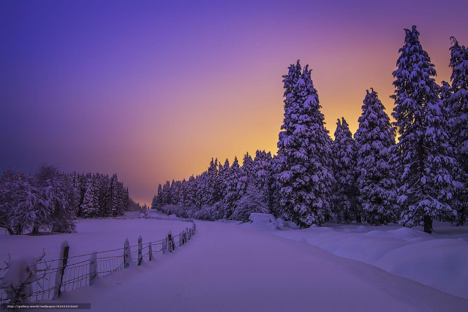 1600x1067 Download Wallpaper Snowy Night Lights, Otzarreta Forest