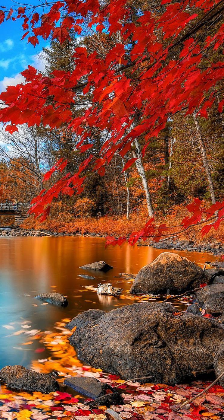 744x1392 Lake Scene Wallpaper to your mobile from PHONEKY