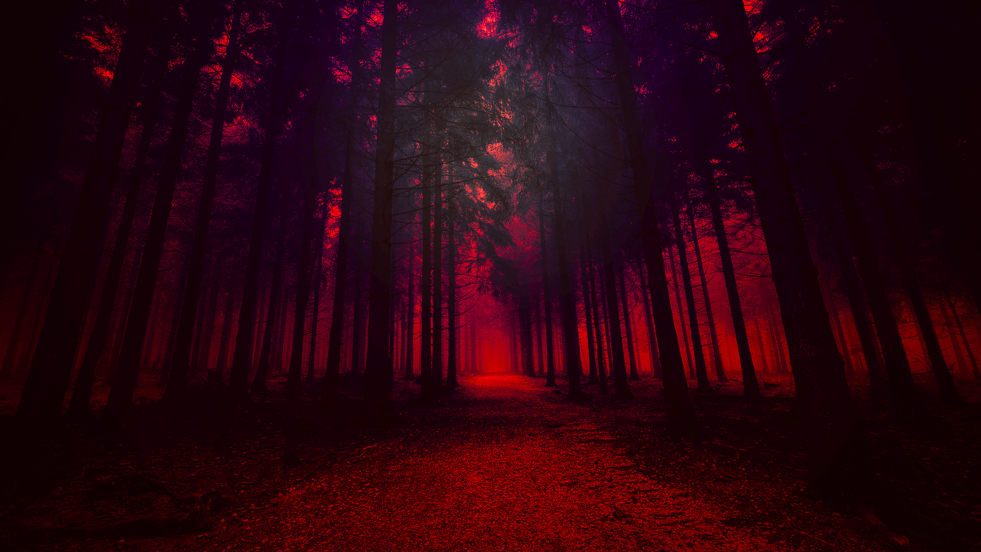 1920x1080 Red Woods HD Wallpaper