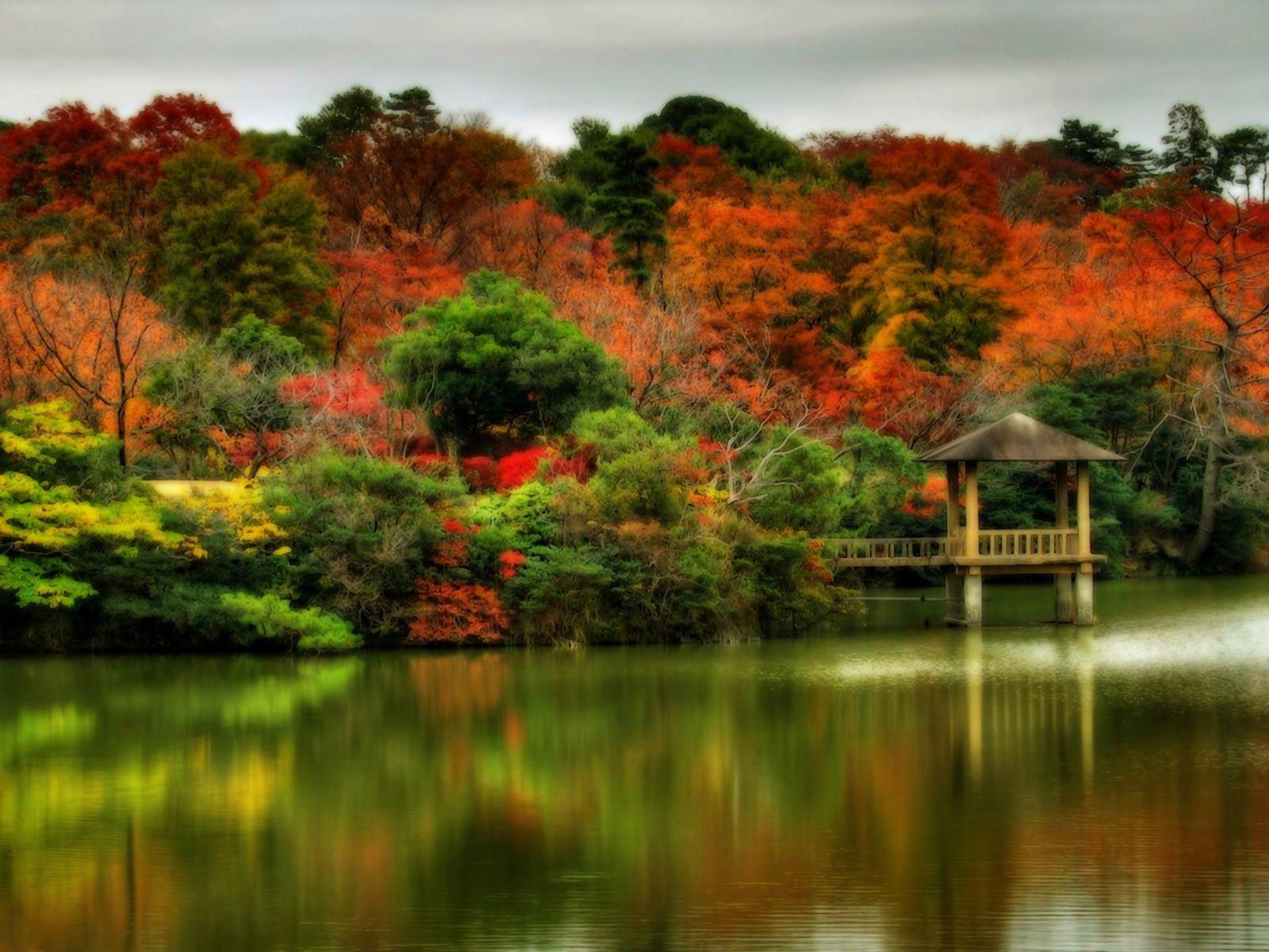 1600x1200 Autumn Beautiful Fall Scenes