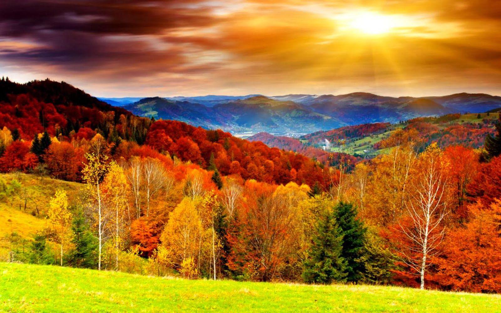 1600x1000 Fall scenes desktop wallpaper