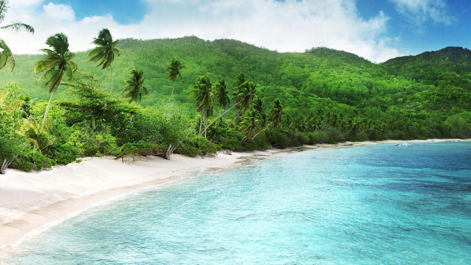 1600x900 HD Wallpaper Star: Tropical Beach HD Wallpaper