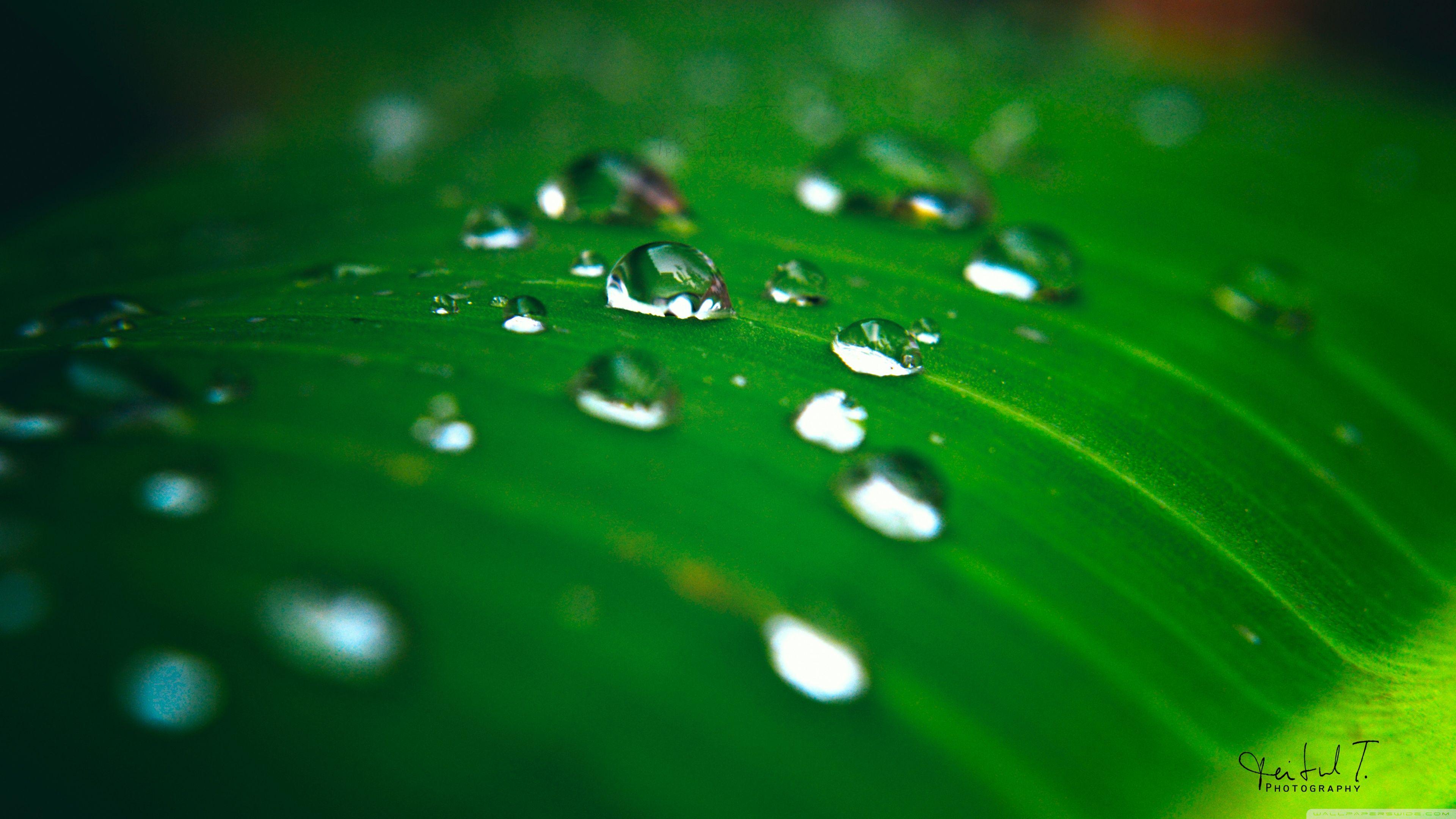 4k Ultra Hd Water Wallpapers Top Free 4k Ultra Hd Water Backgrounds Wallpaperaccess